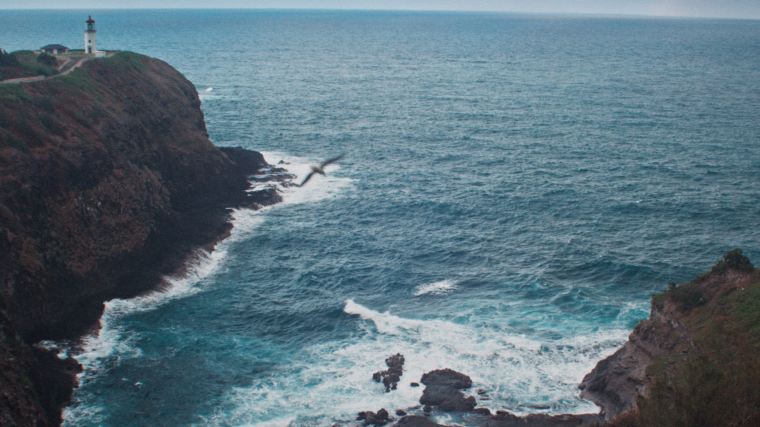 Blake Finishing v2.00_00_21_06.Still021.png