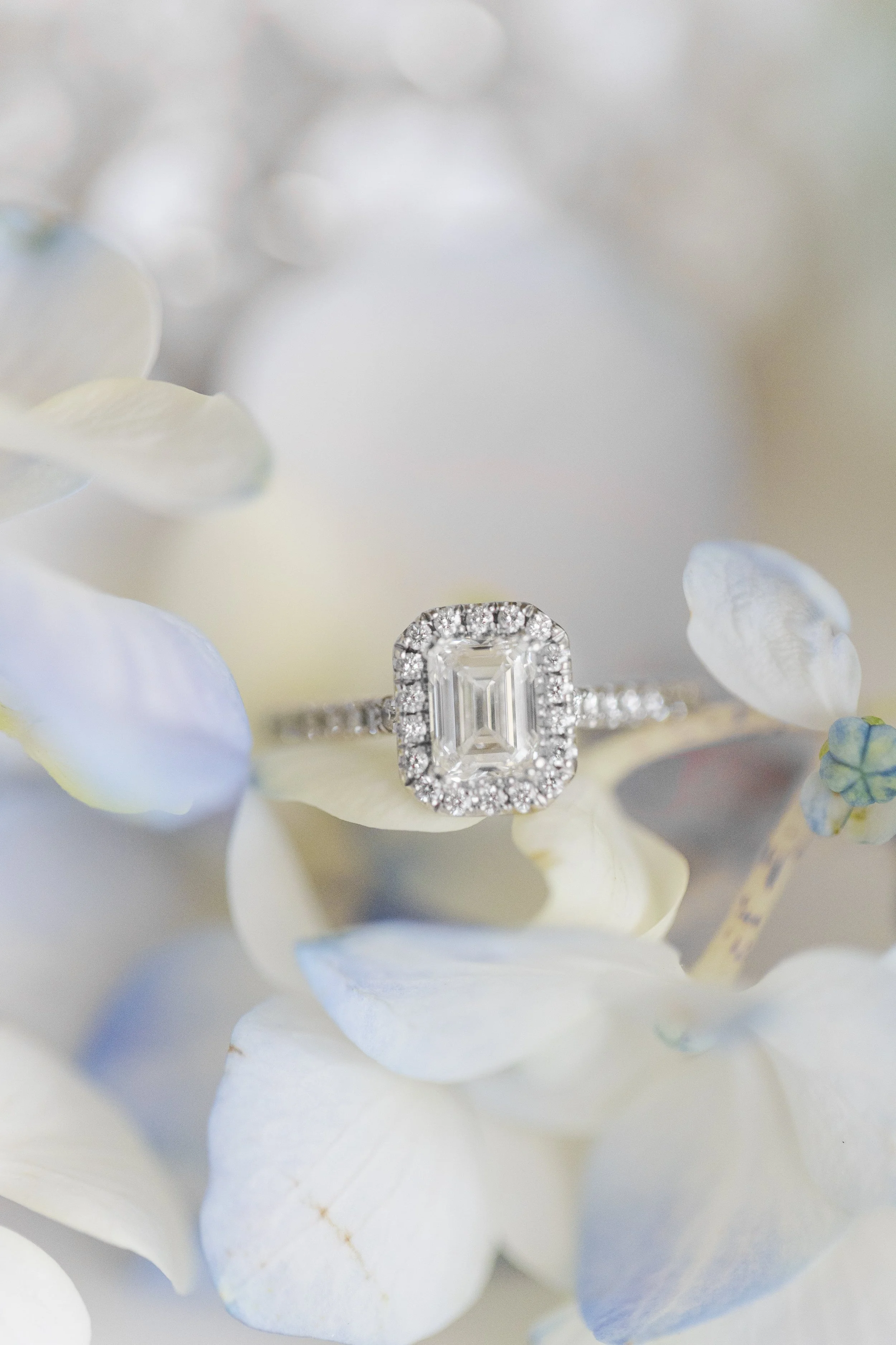 R&C - Audrey Photography-25-min.jpg