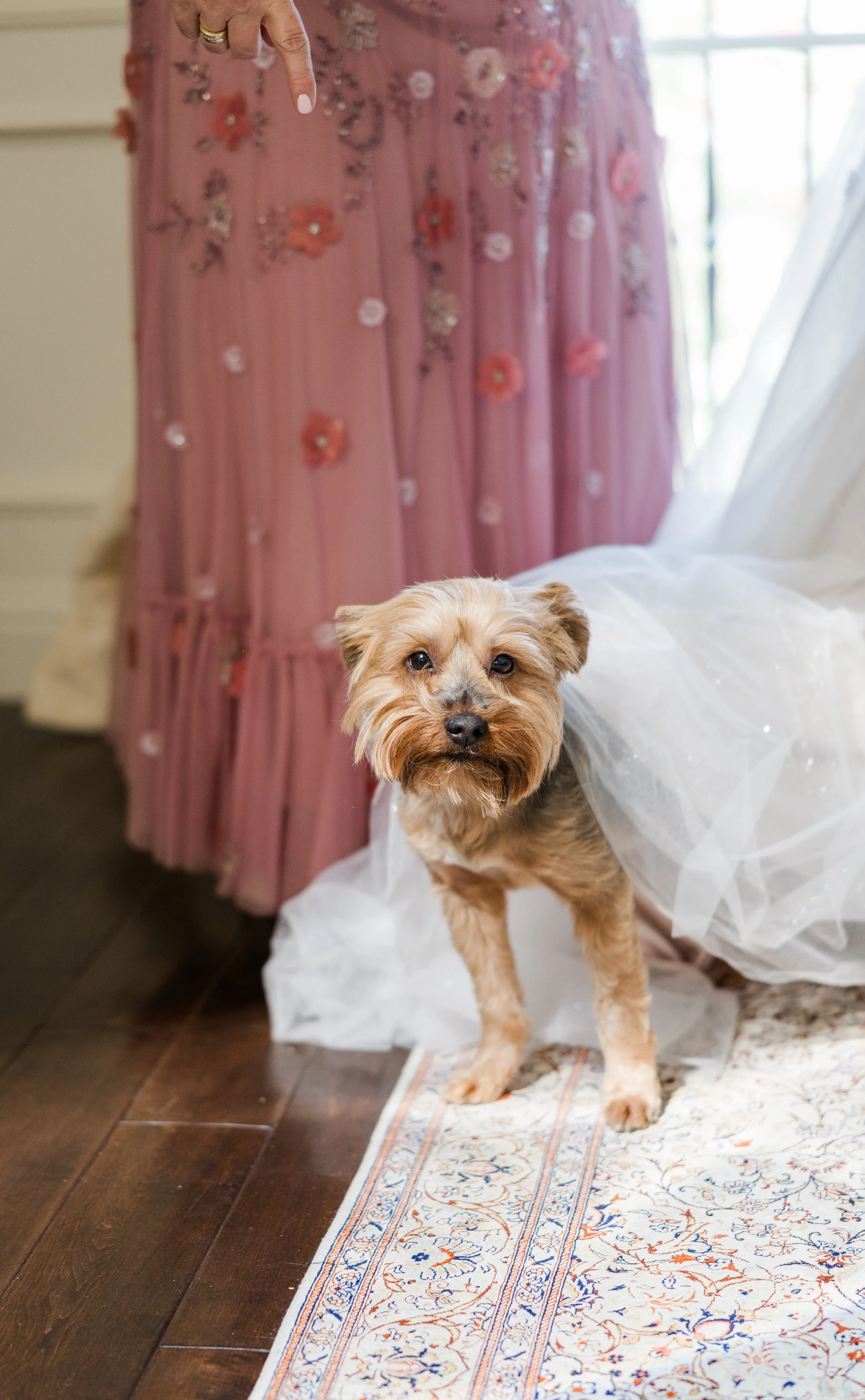 R&C - Audrey Photography-138-min.jpg