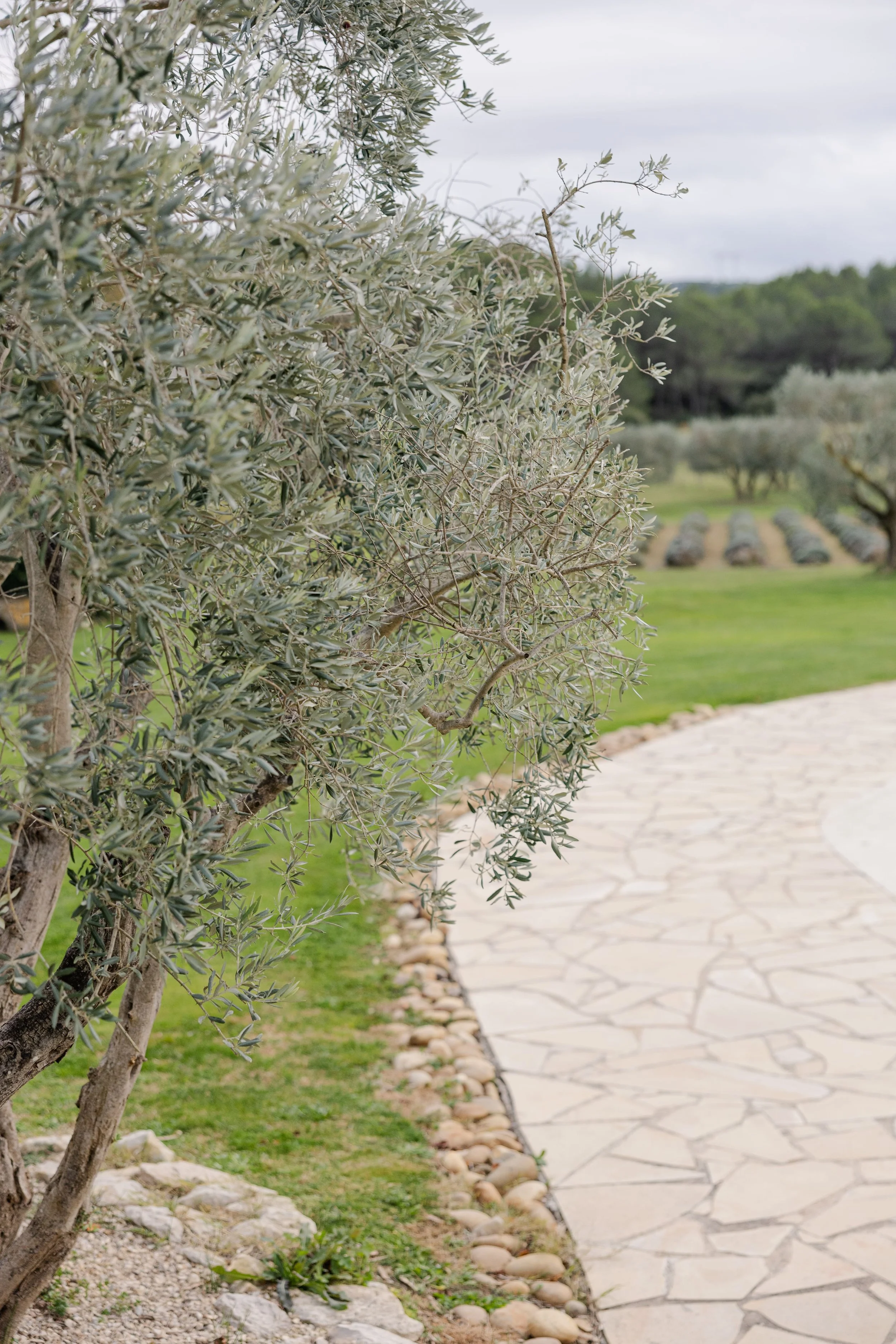 masdelarose - audreyphotography-8.jpg