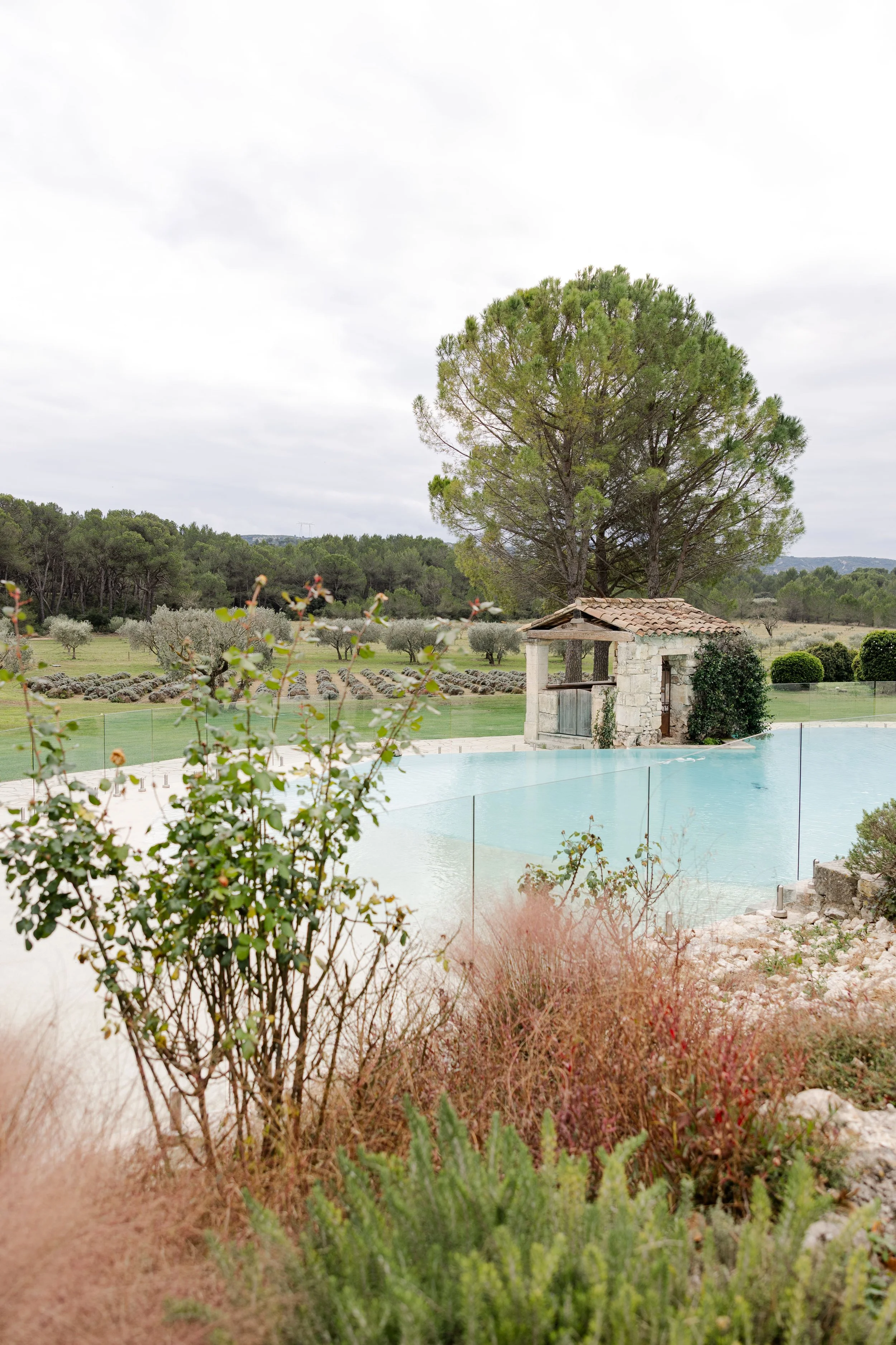 masdelarose - audreyphotography-19.jpg