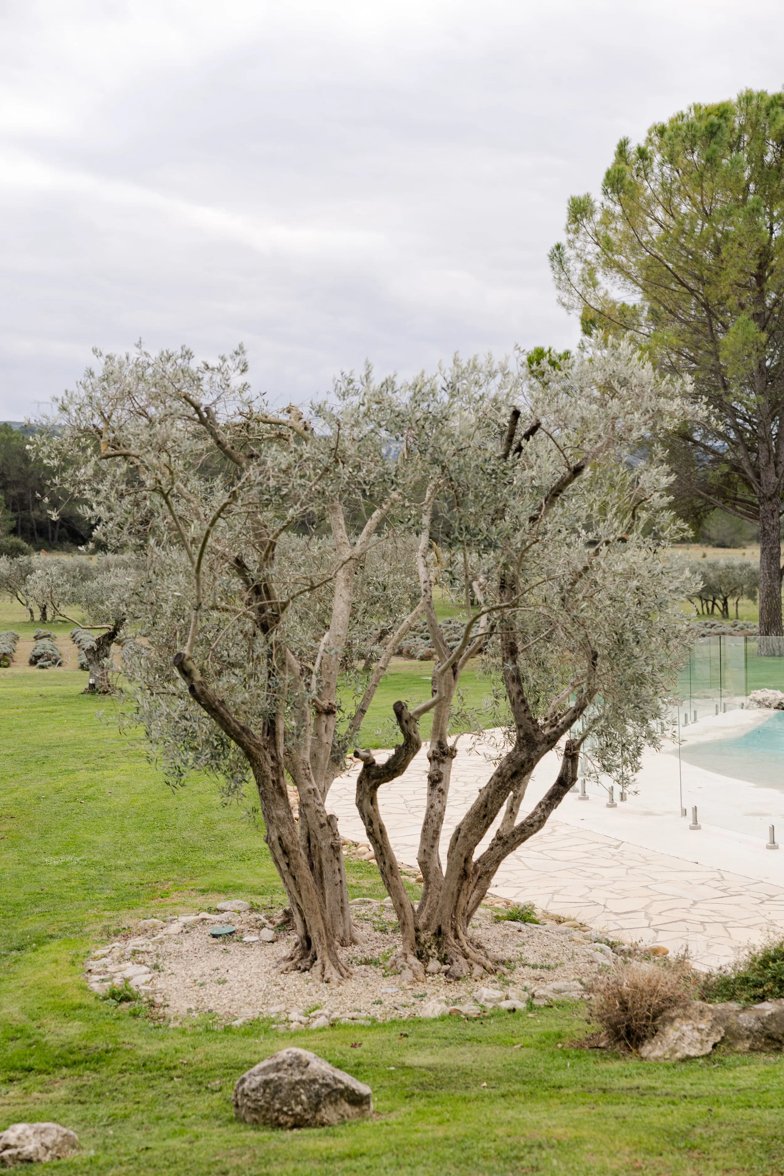 masdelarose - audreyphotography-26.jpg