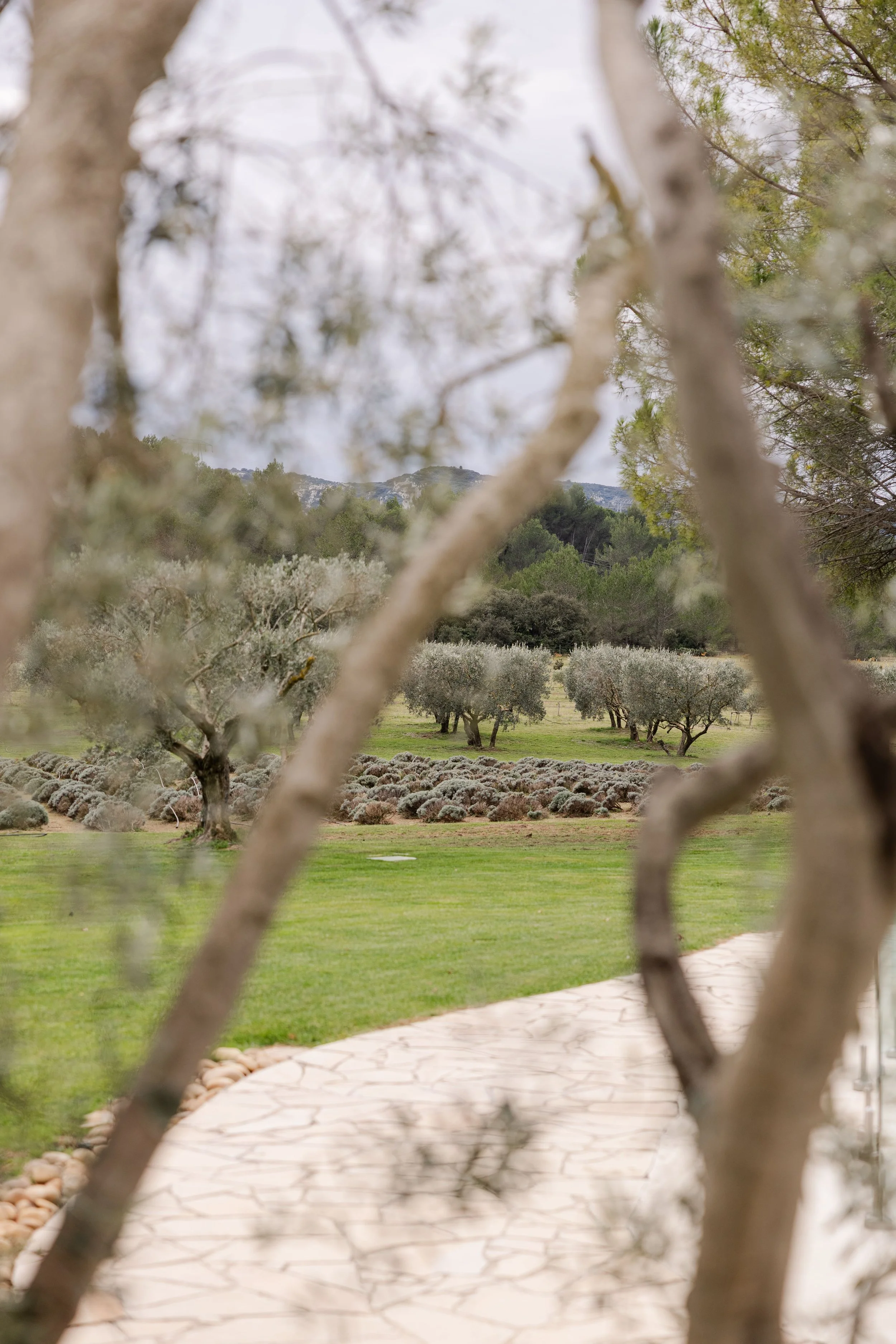 masdelarose - audreyphotography-33.jpg