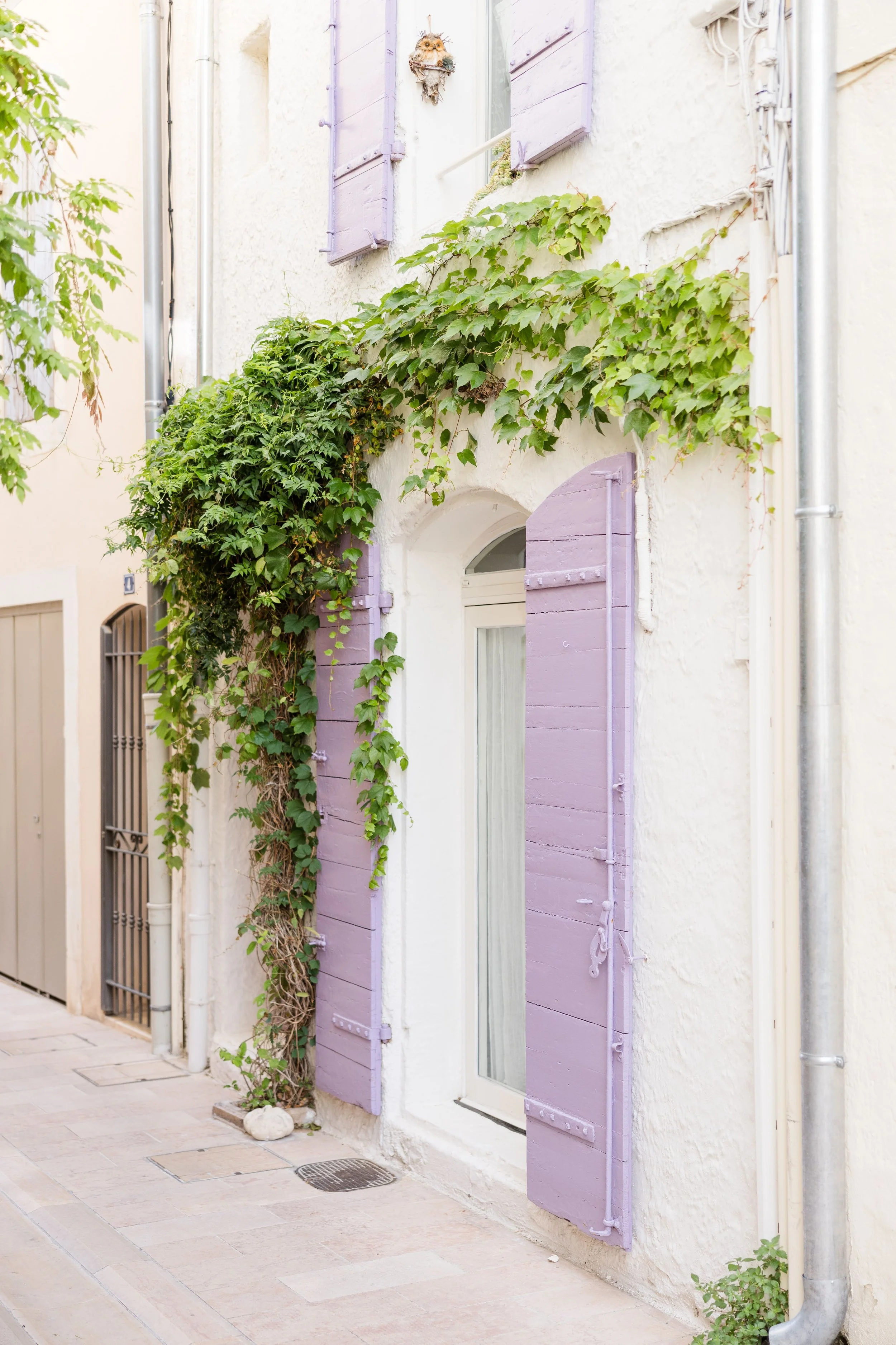Lavender Shutters and Ivy in Provence