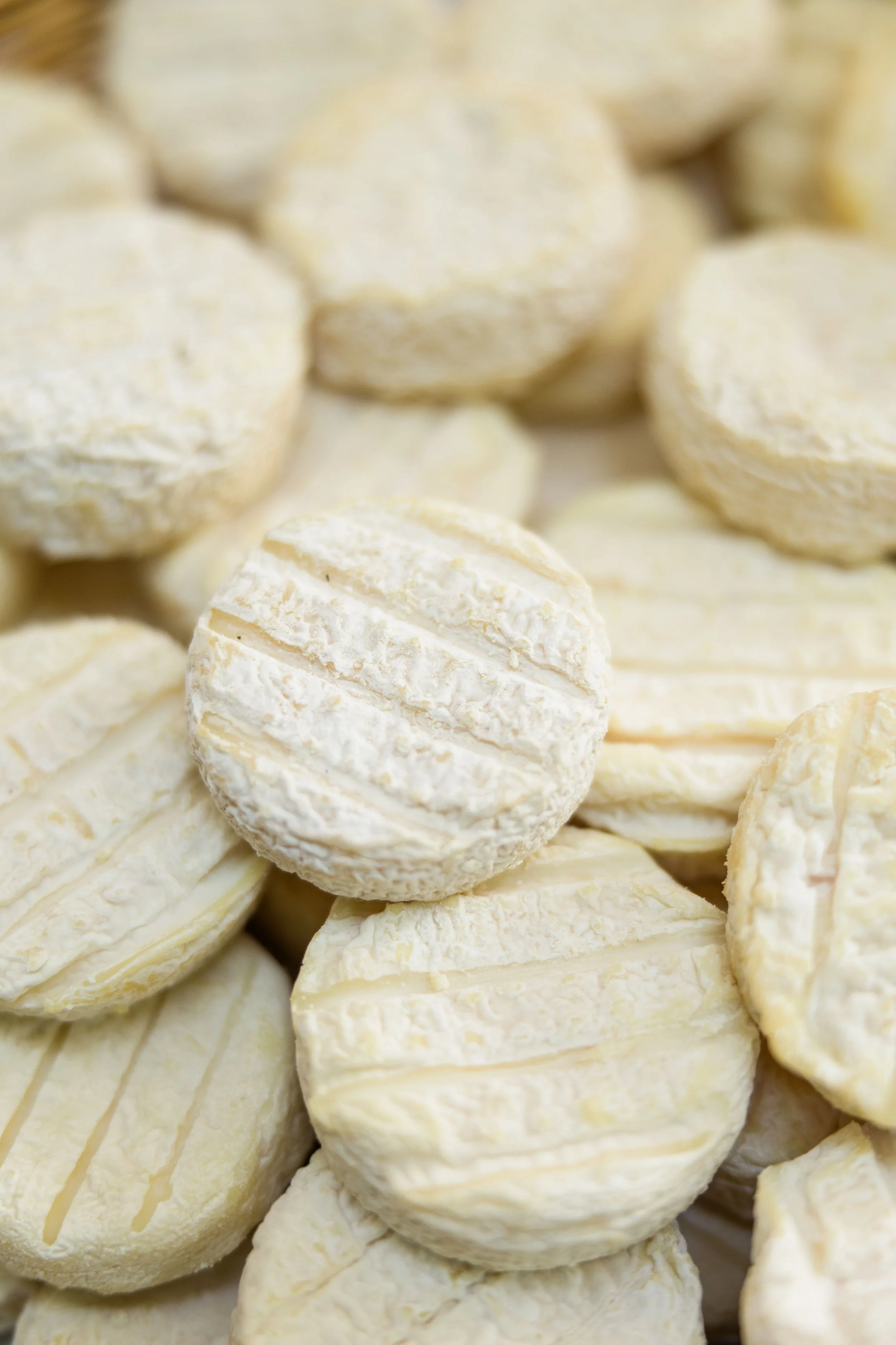 Traditional French Cheese Wheels
