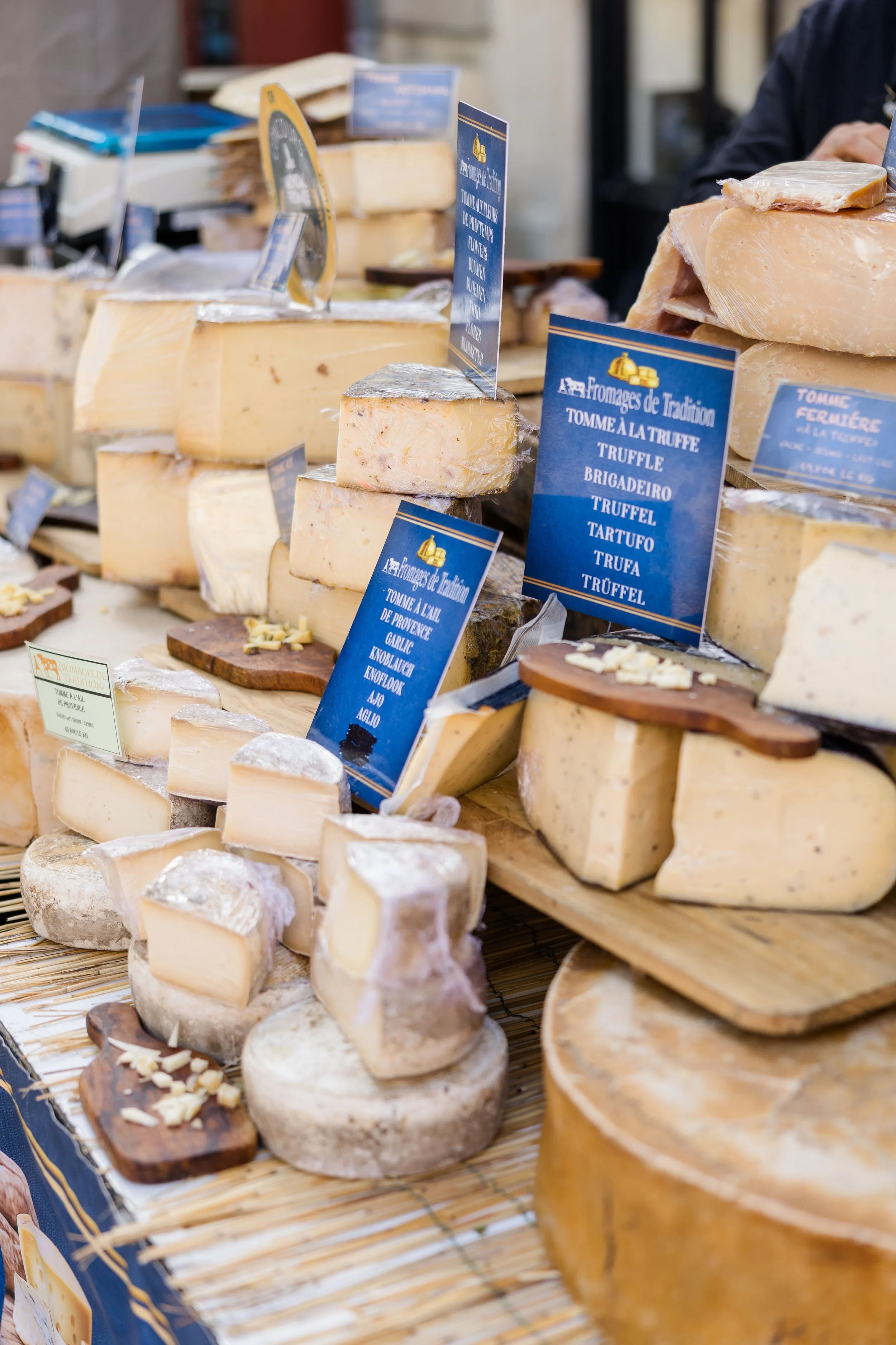 Artisan Cheese Selection in Provence