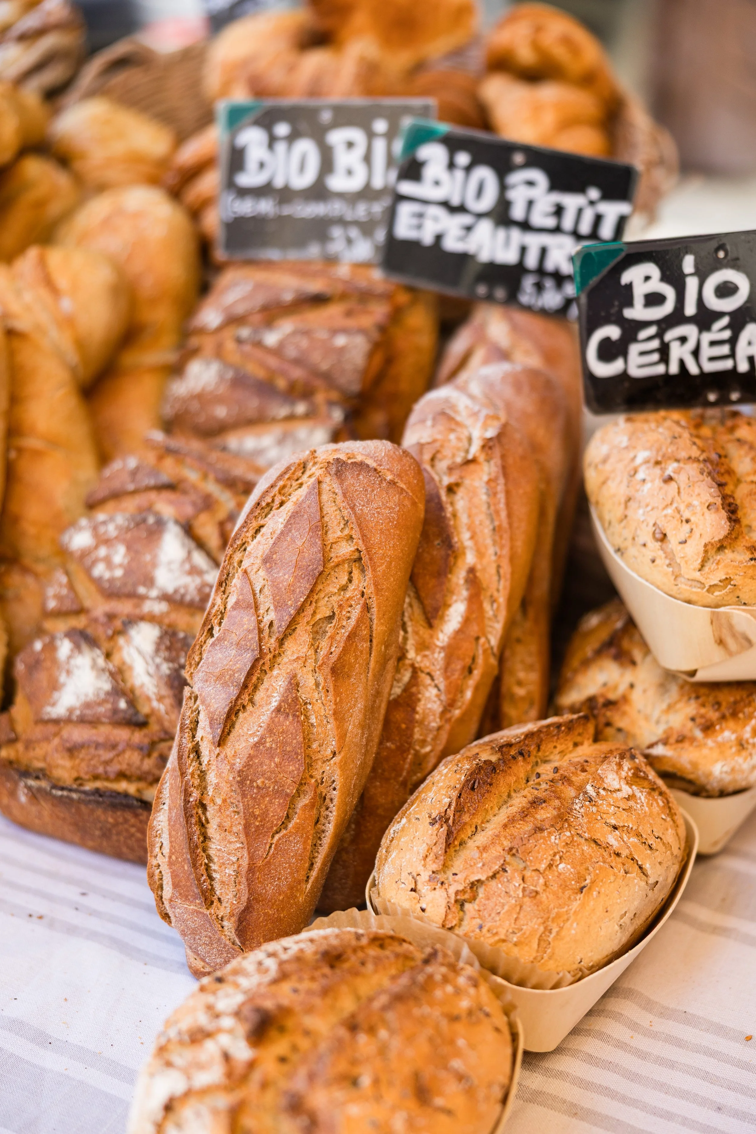 Fresh Artisan Bread in Provence