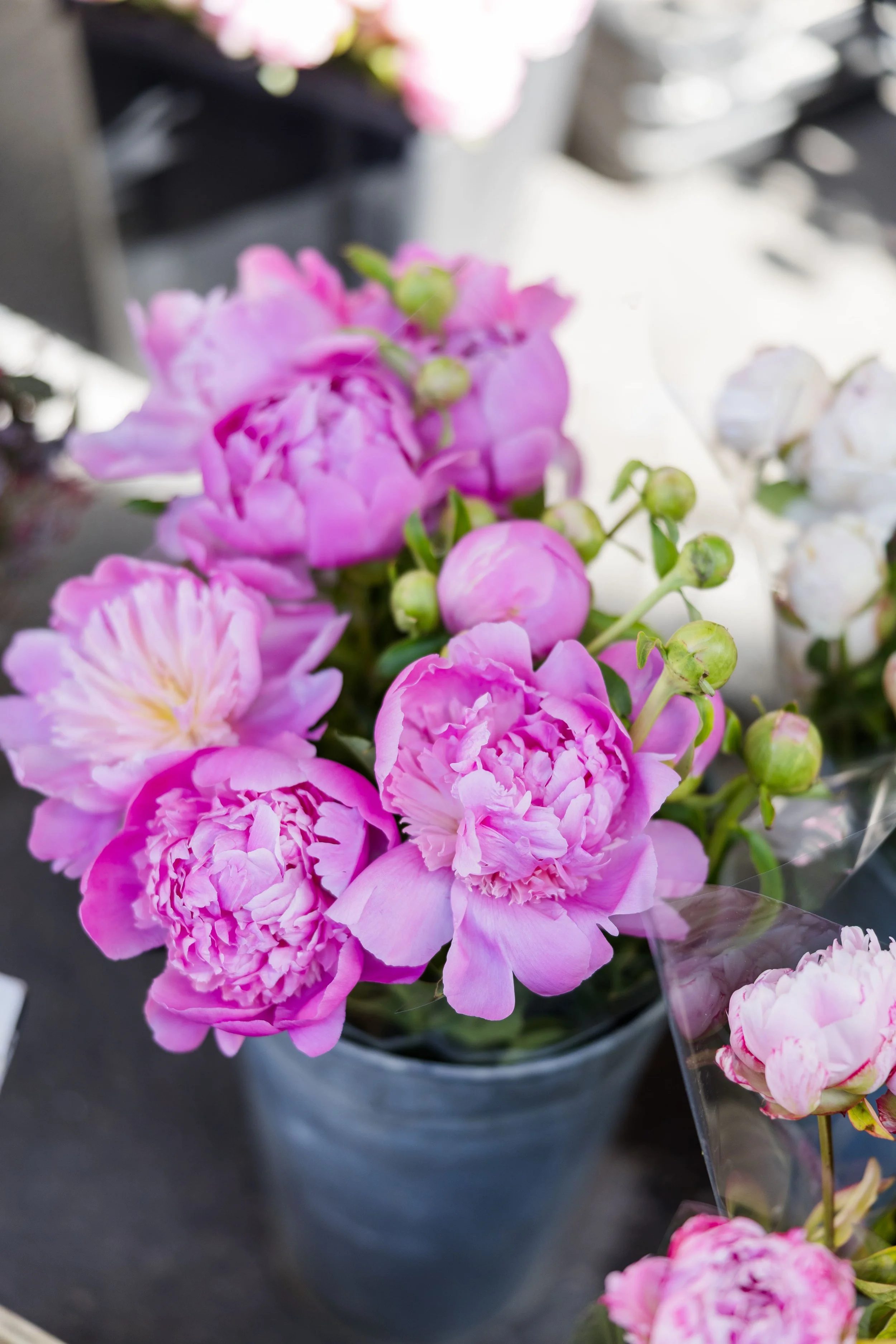 Pink Peonies at a Flower Stall in Provence