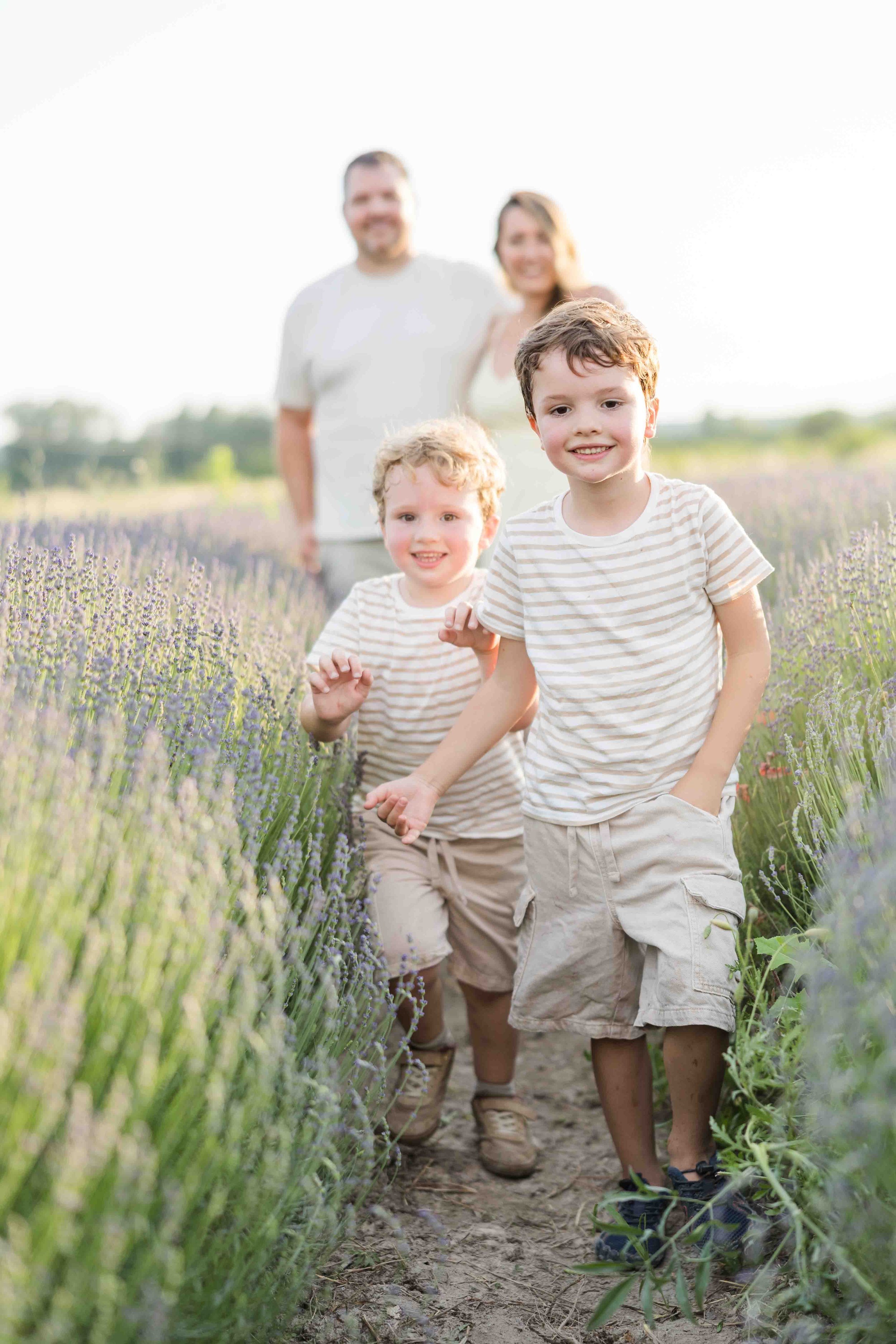 Family Walking Through Lavender Rows Provence