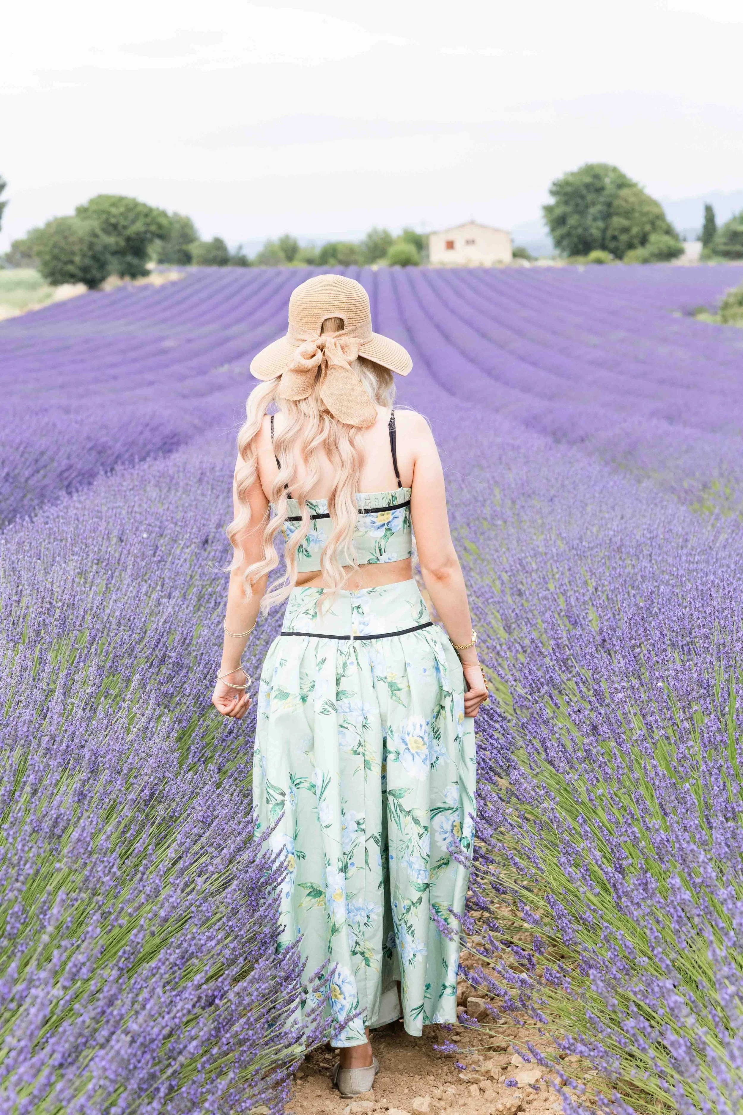 Walking Through Lavender Fields in Provence
