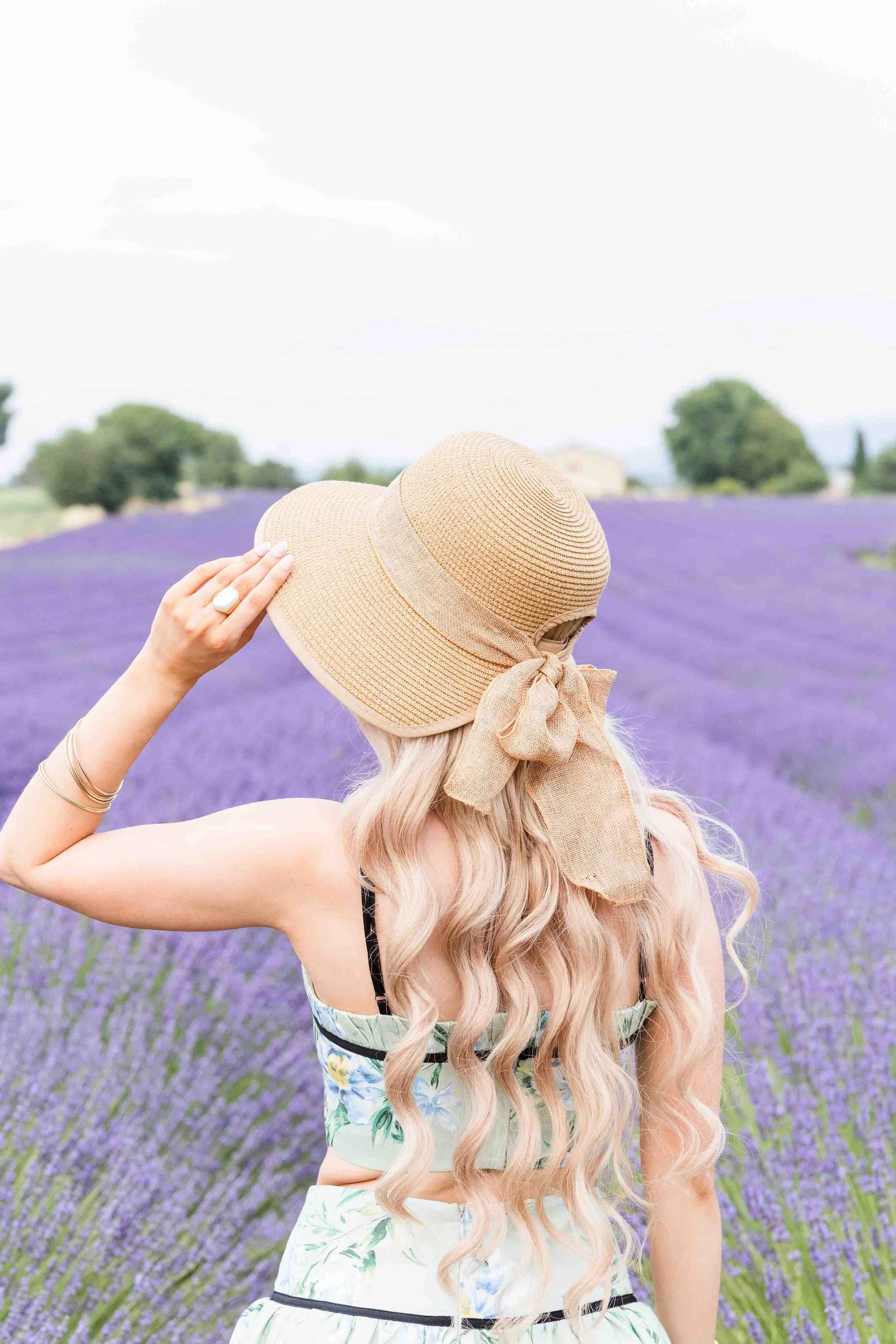 Back View in Lavender Field