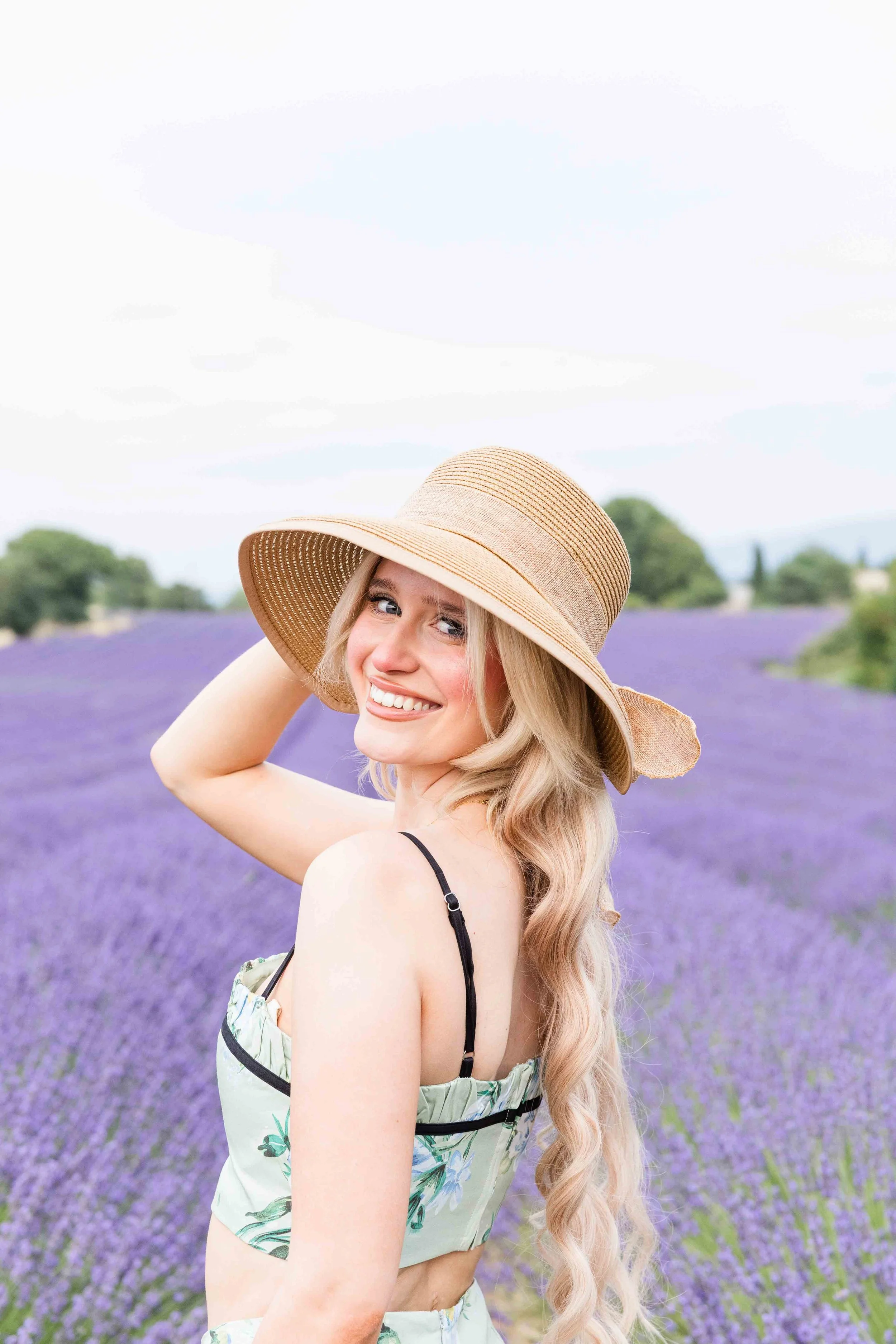 Provence Lavender Portrait Close-Up