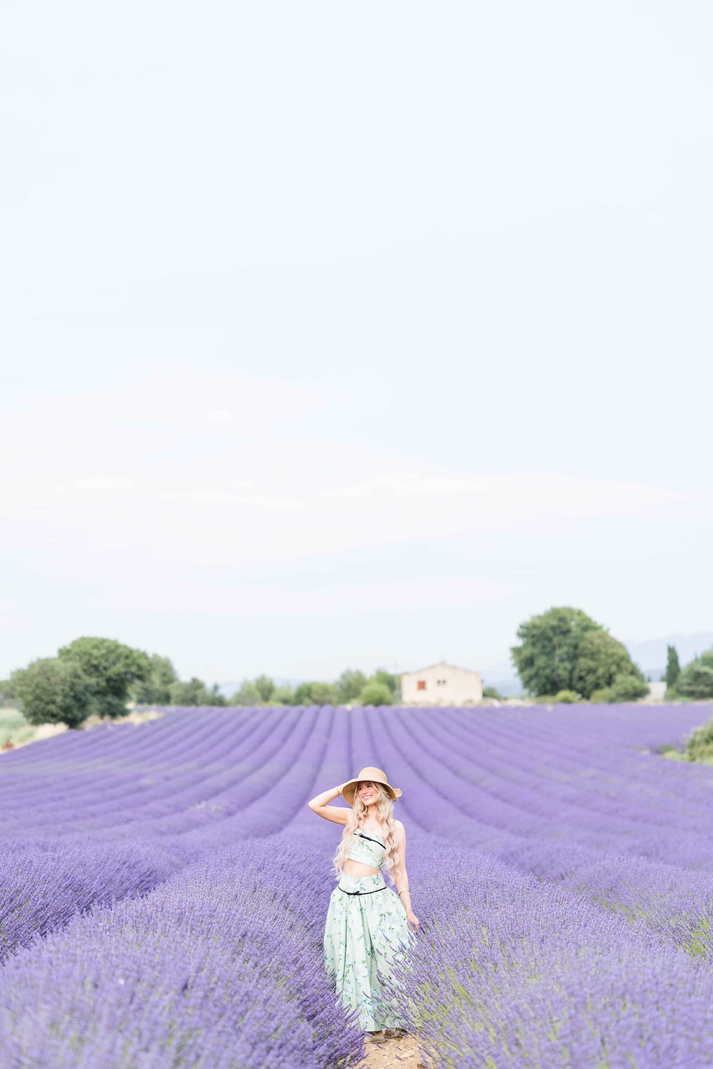 Lavender Landscape Portrait in Provence