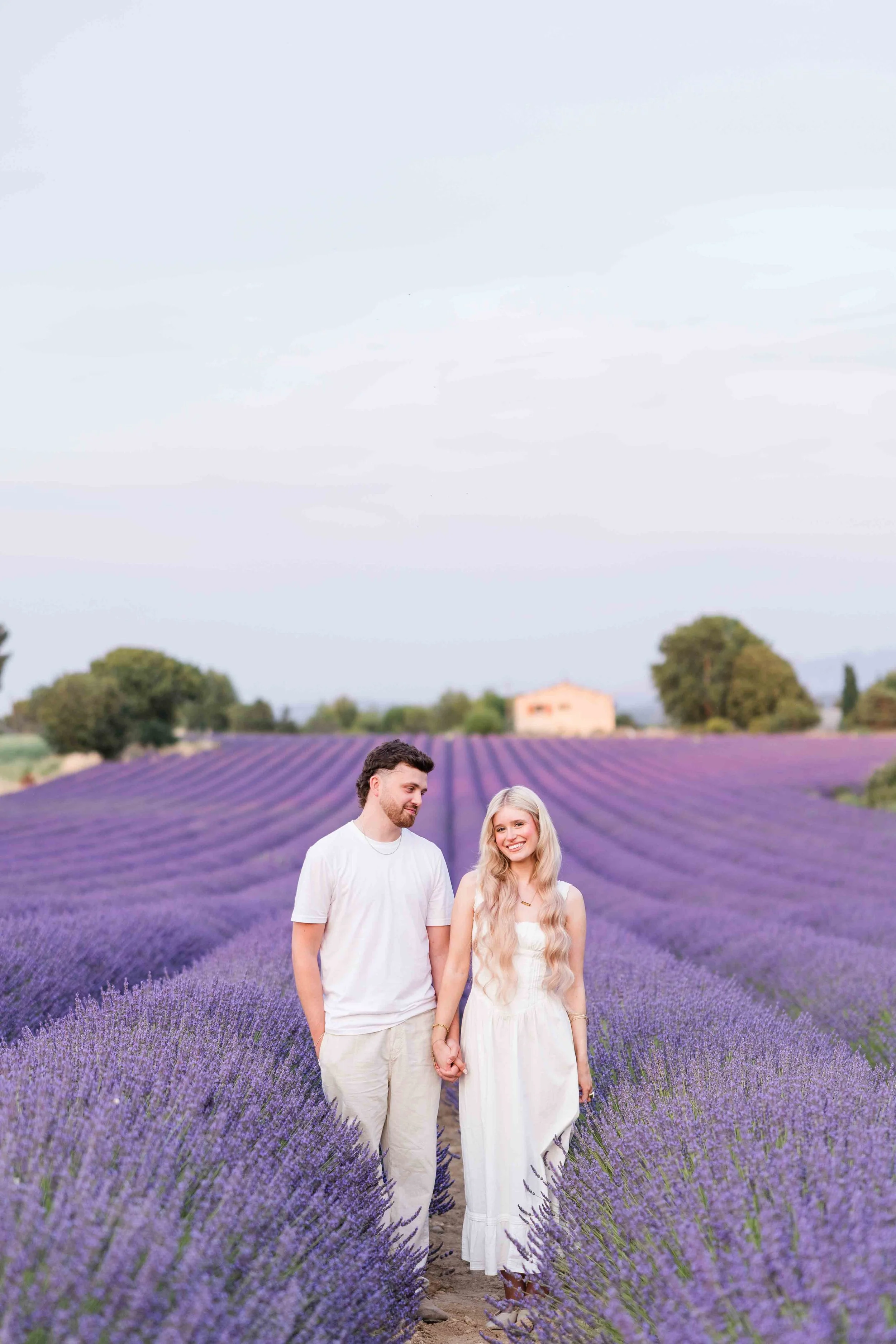  Couple standing together among blooming lavender rows in Provence, France. 