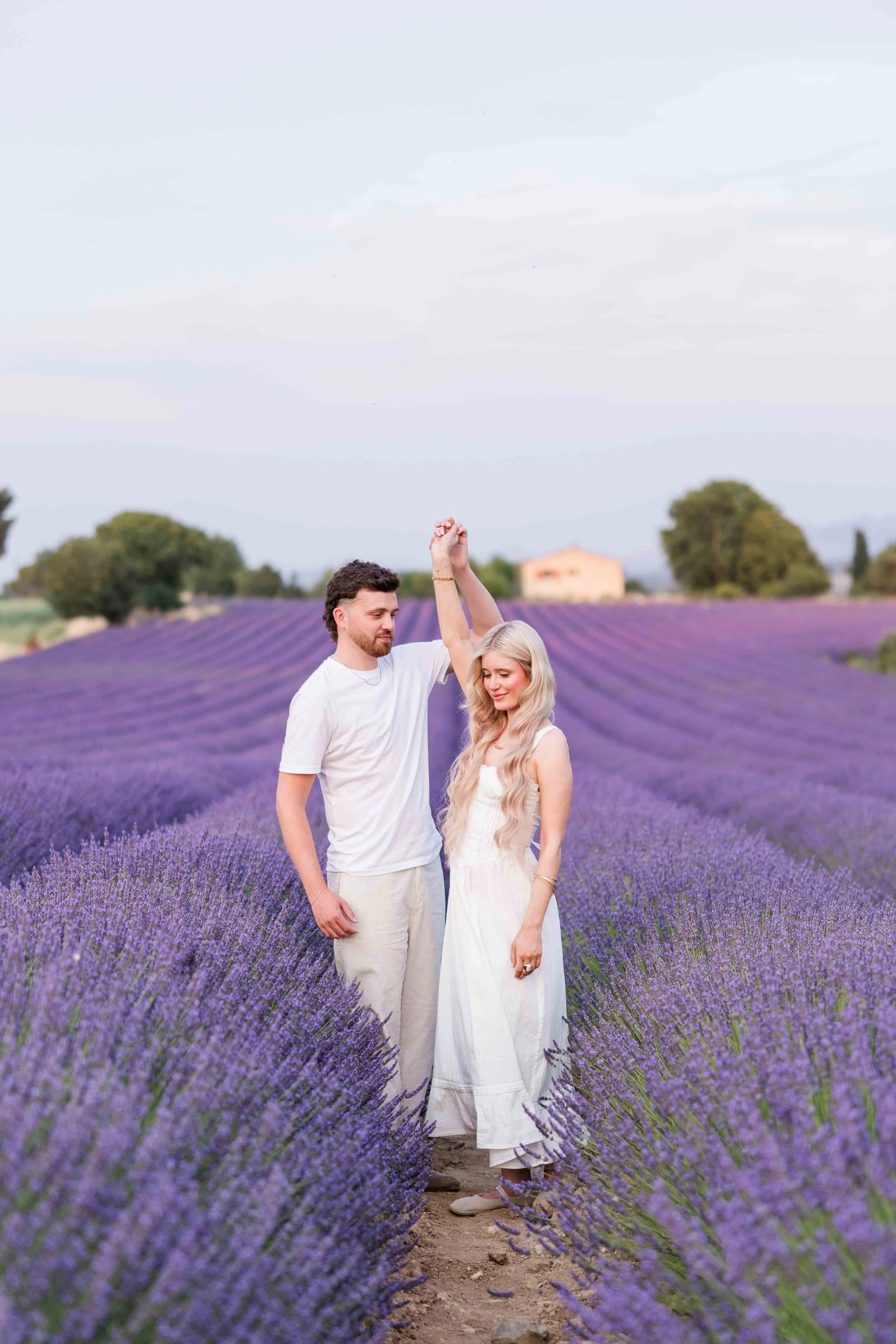 Couple dancing together among blooming lavender rows in Provence, France. 