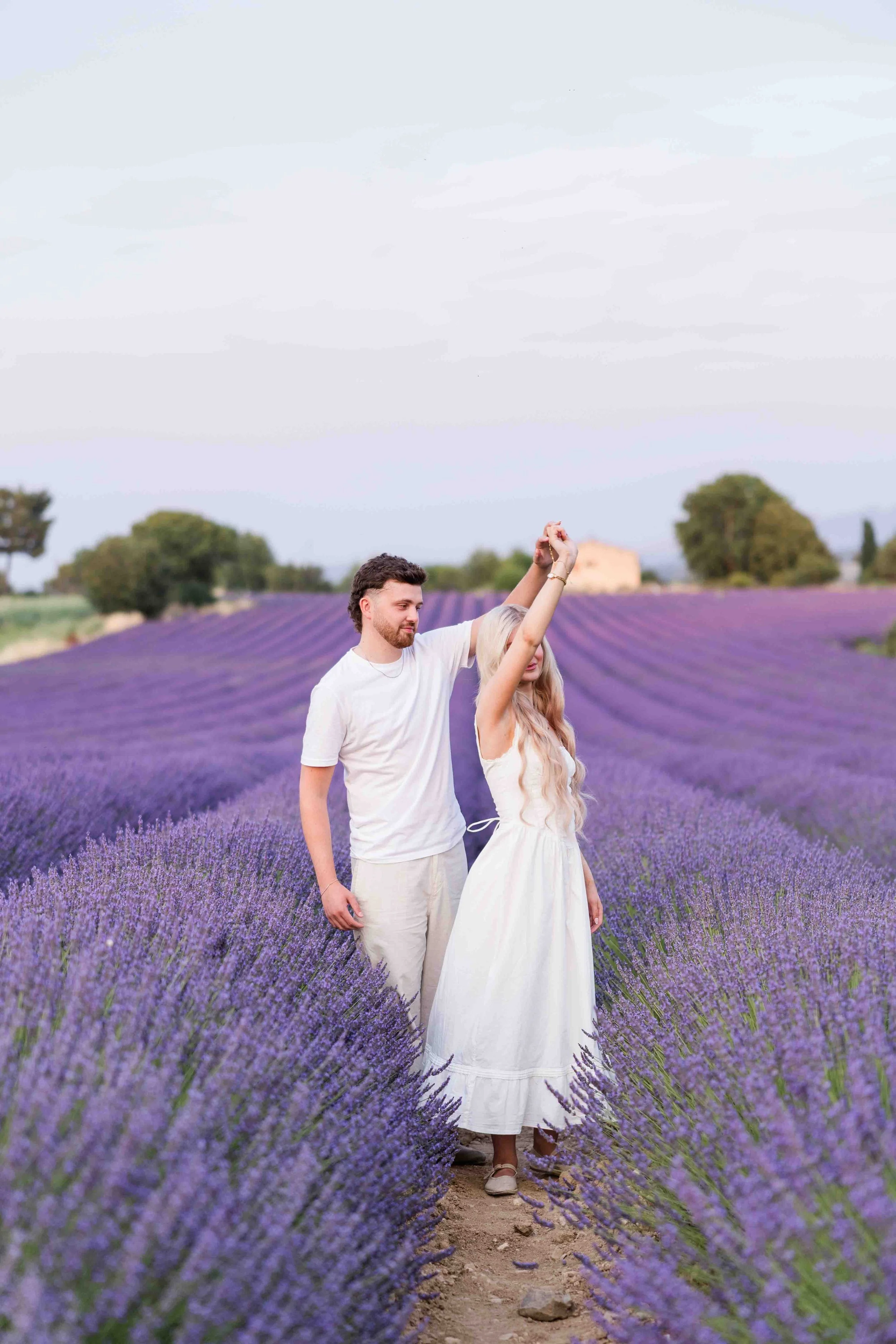  Couple standing together among blooming lavender rows in Provence, France. 