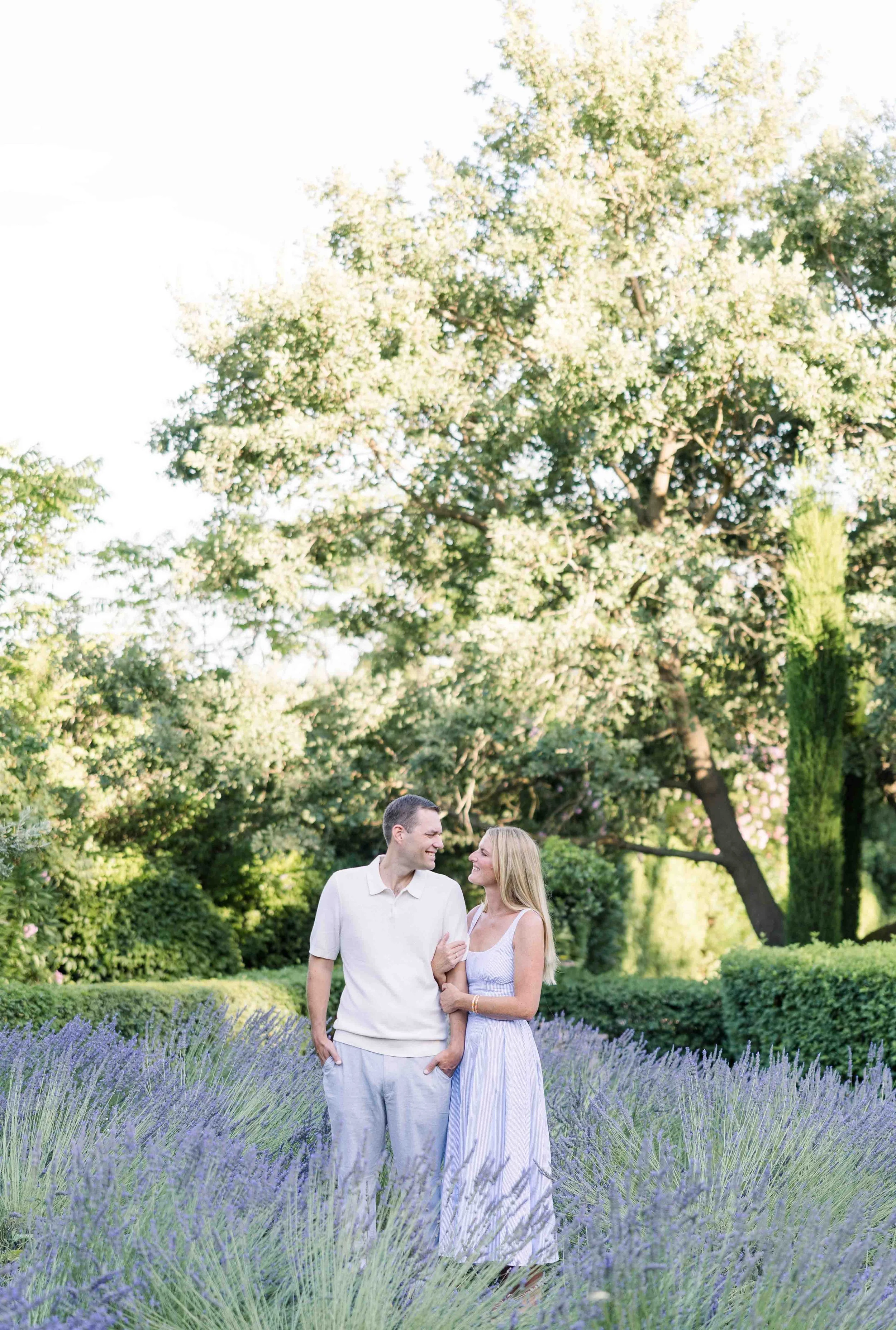 Lavender field memories