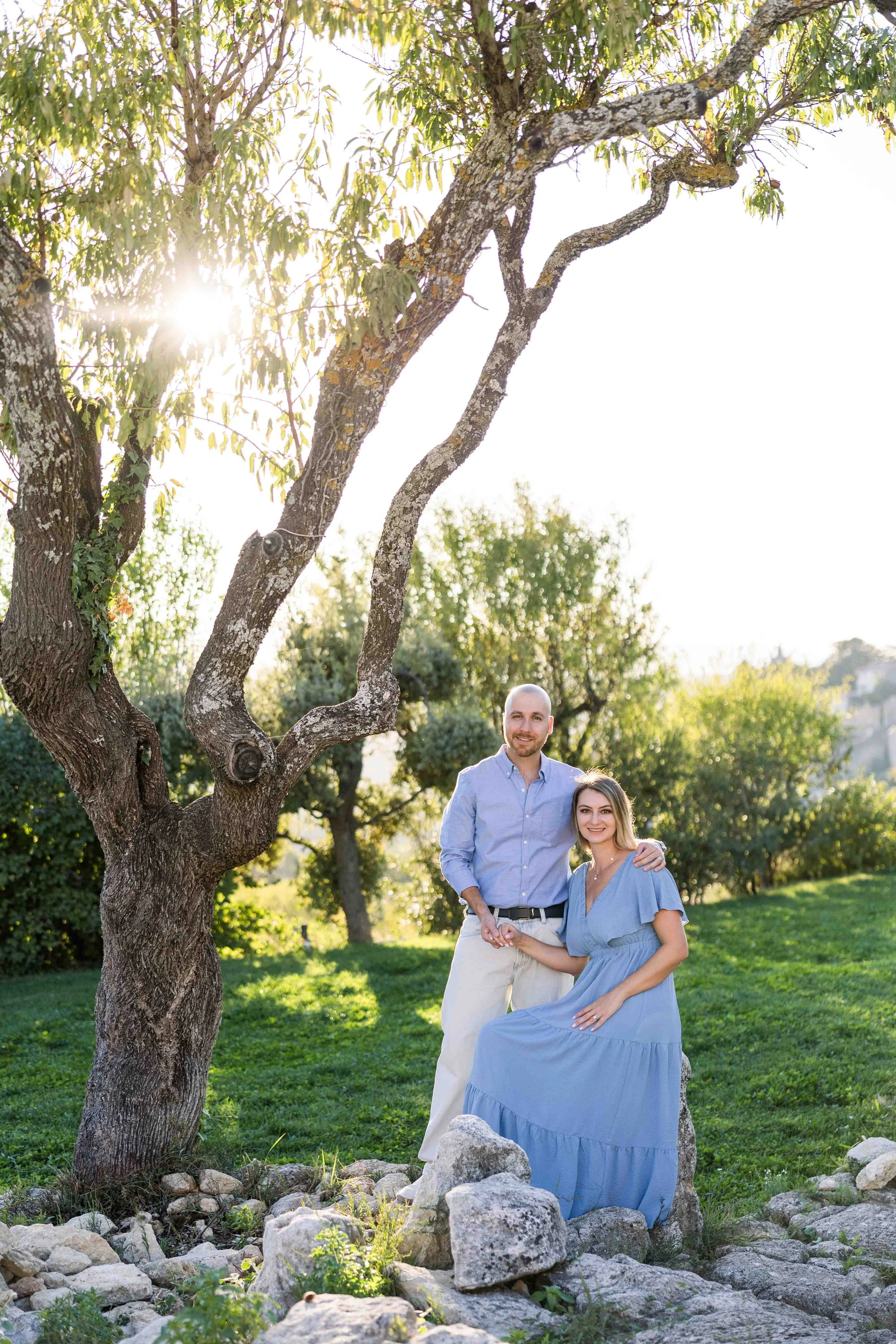 Beneath the Olive Tree