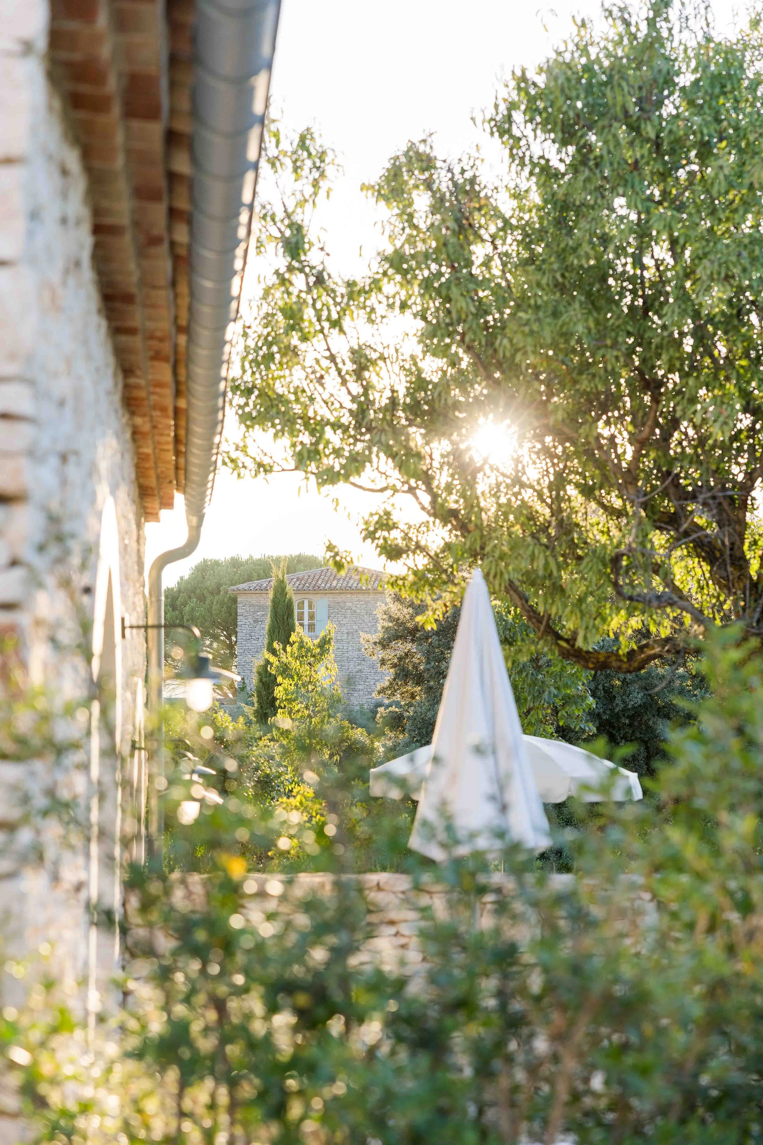 Sunlit Garden Sculpture