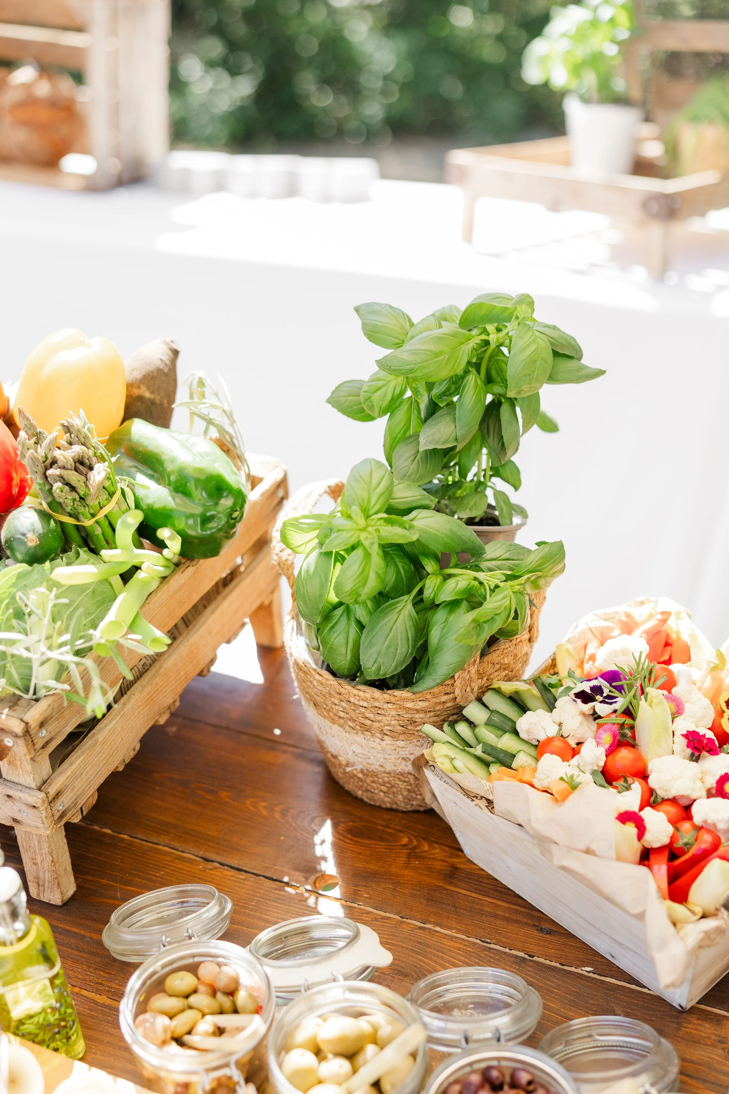French cuisine with fresh basil in a Provence setting.