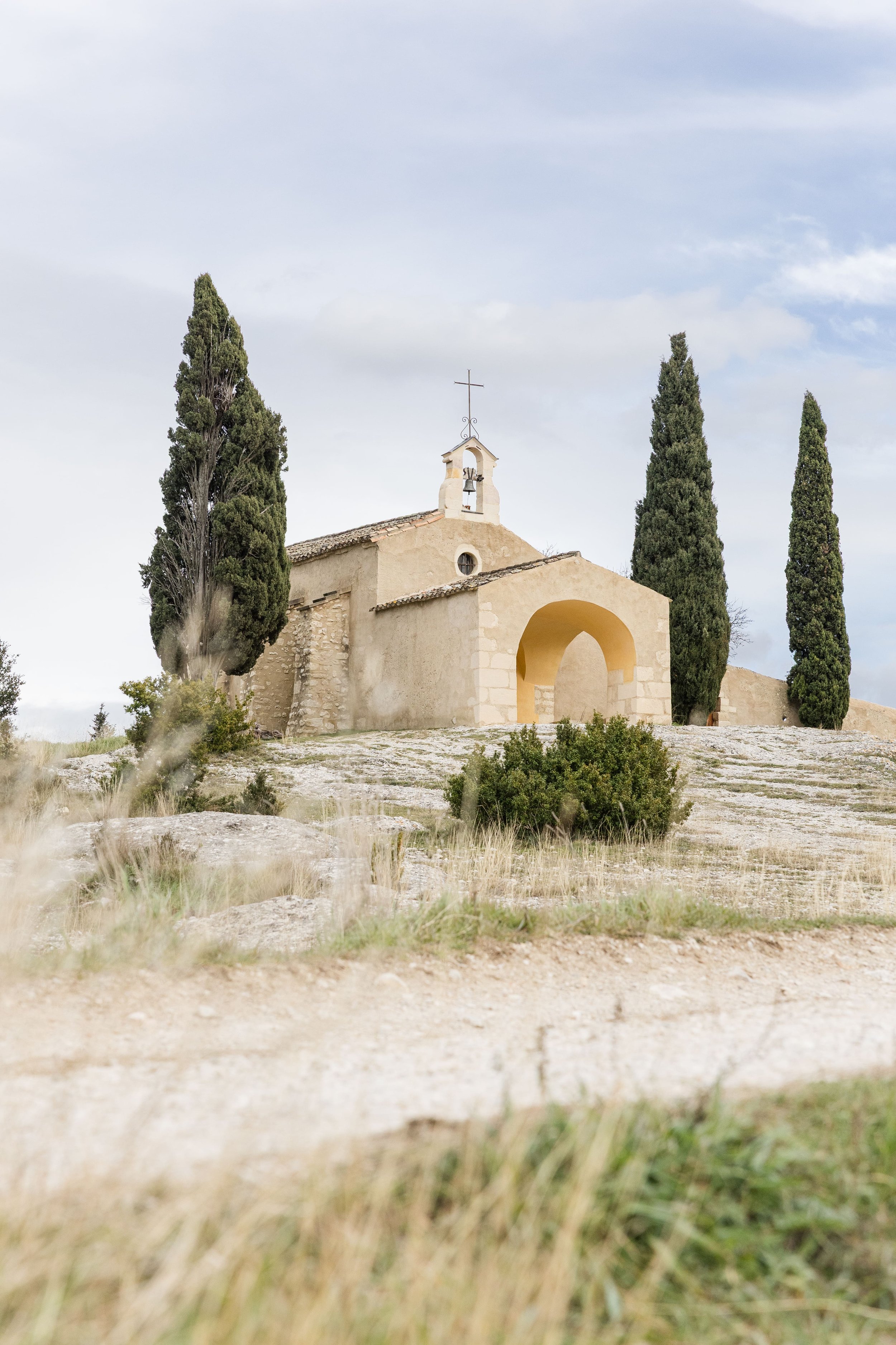 church in the heart of provence surrended by olive tree and lavender fields
