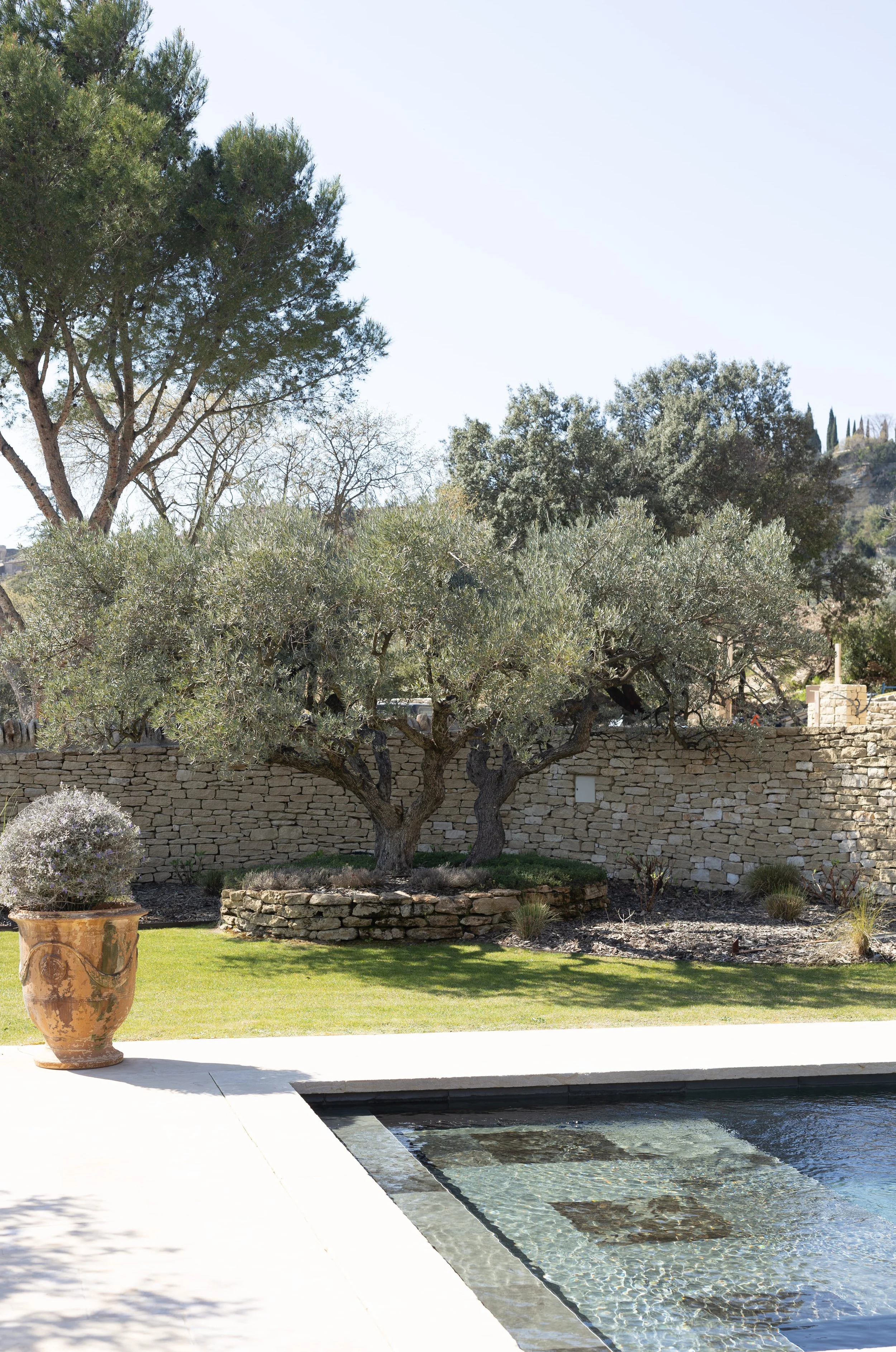 Mediterranean garden with olive trees surrounding a luxury villa in Provence