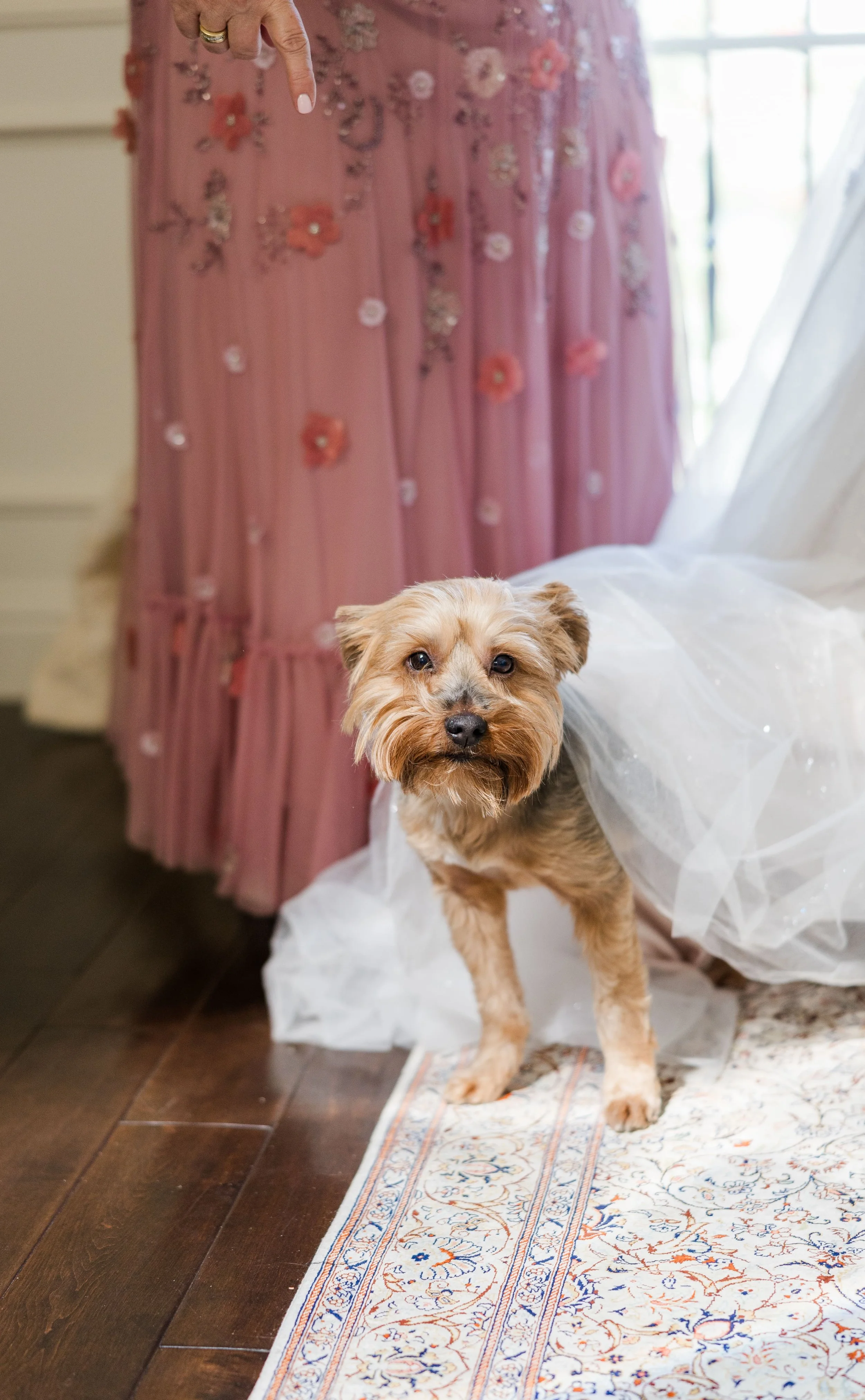 R&C - Audrey Photography-138.jpg