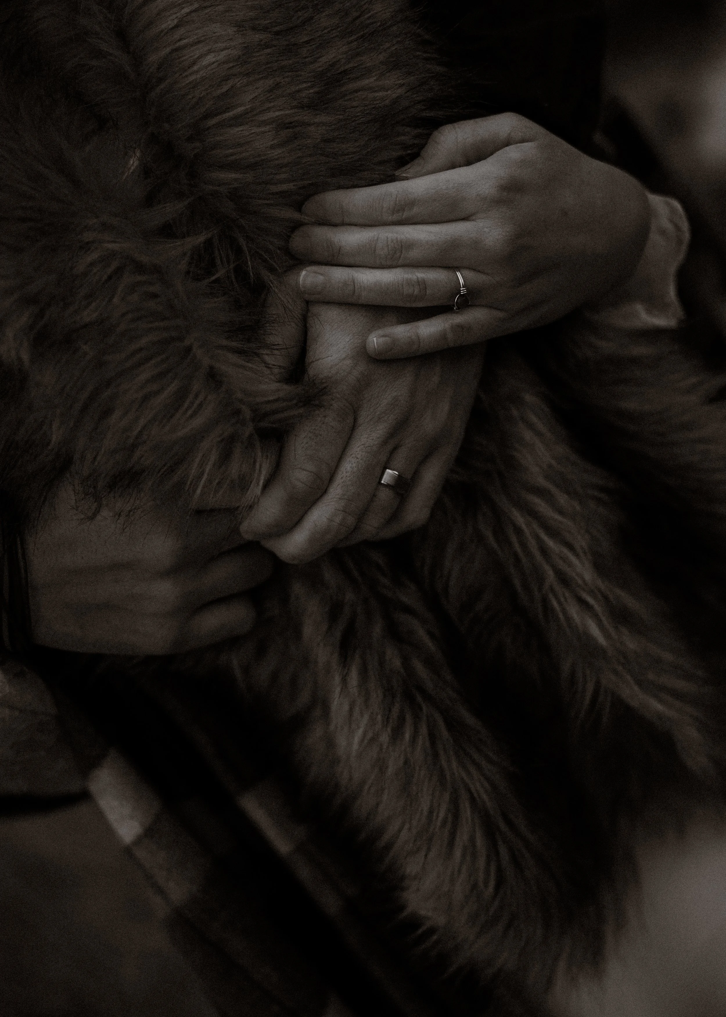 Glencoe 2025-28533.jpg