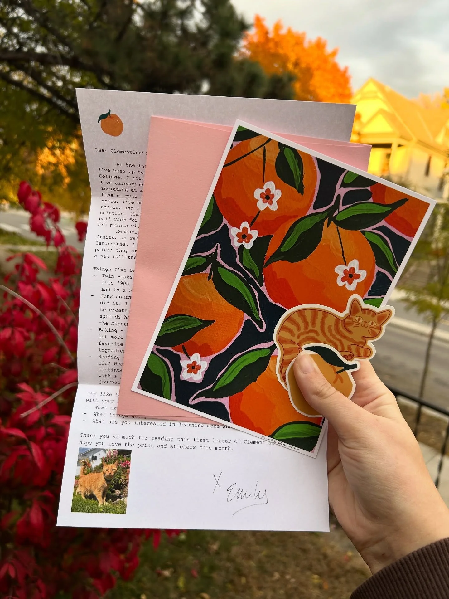 Introducing Clementine&rsquo;s Club!! 🥳🍊I&rsquo;m so excited to share that my new snail mail/print club is now available on patre0n! I&rsquo;ve been wanting a way to connect with people offline and what better way than via physical media delivered 