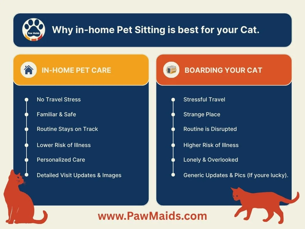Cats thrive where they feel safest - AT HOME. 

Unlike boarding facilities, in-home pet sitting allows your cat to stay in their familiar environment, follow their normal routine, and avoid the stress of travel, unfamiliar smells, and strange surroun