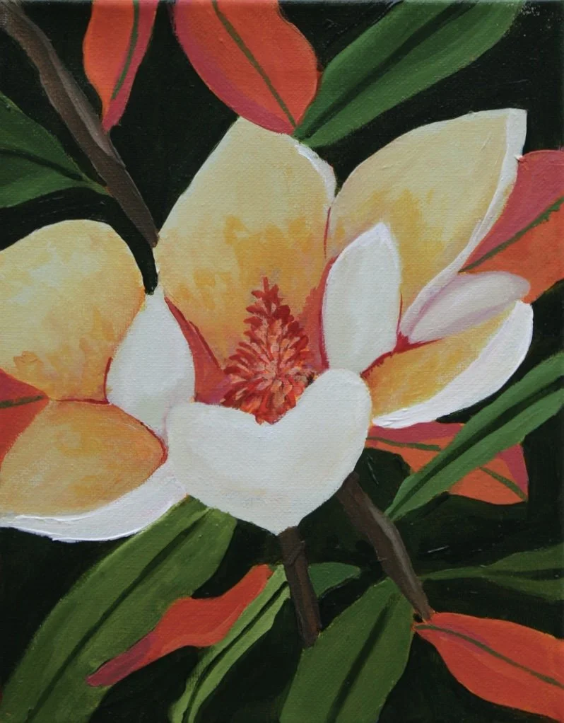 Magnolia Study 2