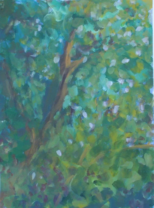 Forest study.JPG