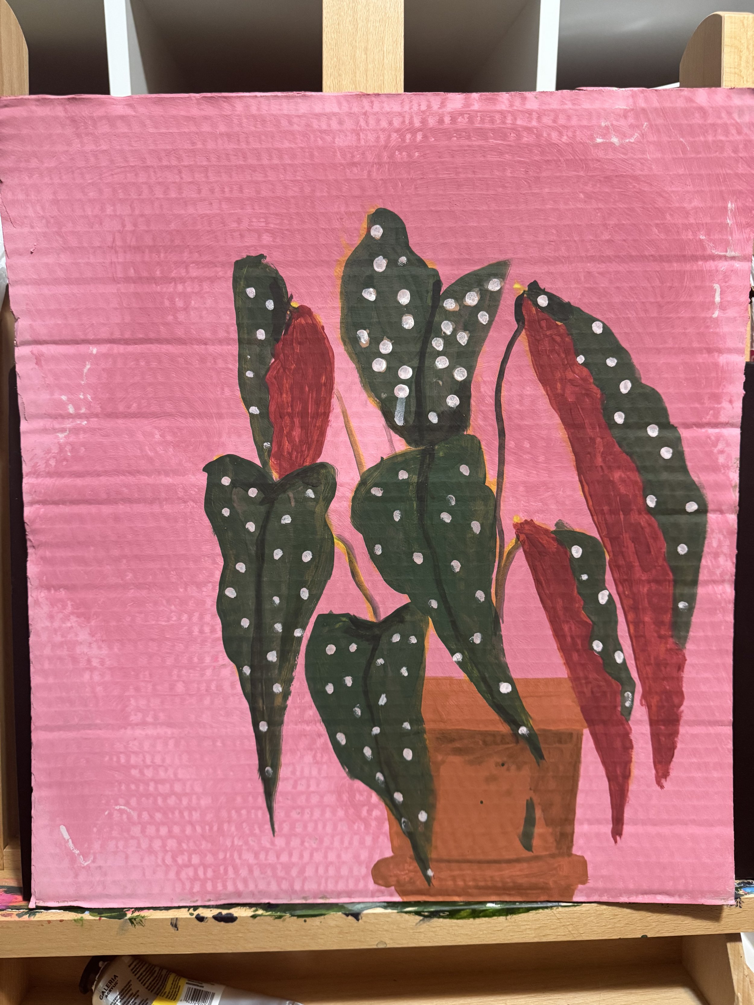 Polka Dot on Cardboard