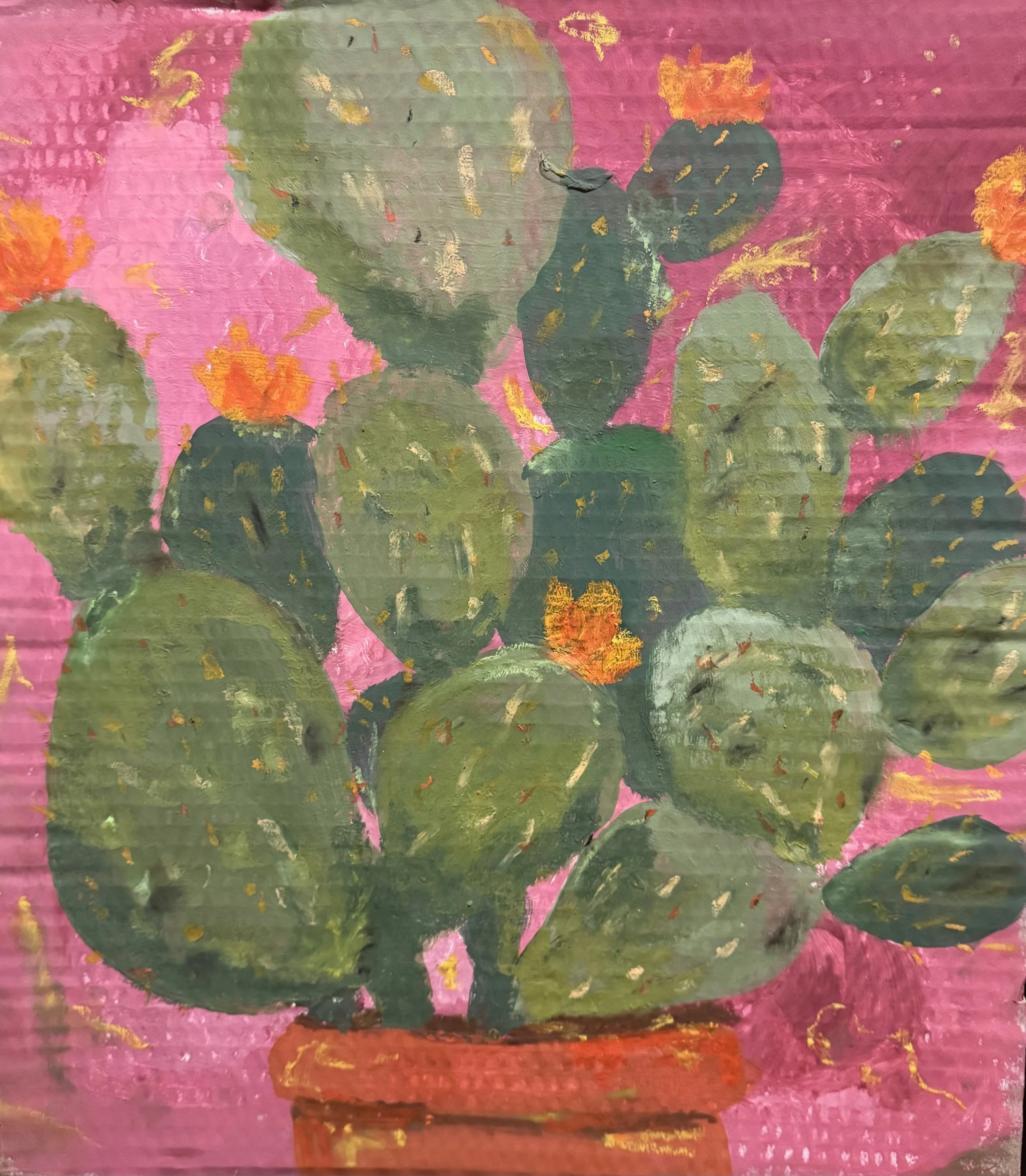 Cactus on Cardboard