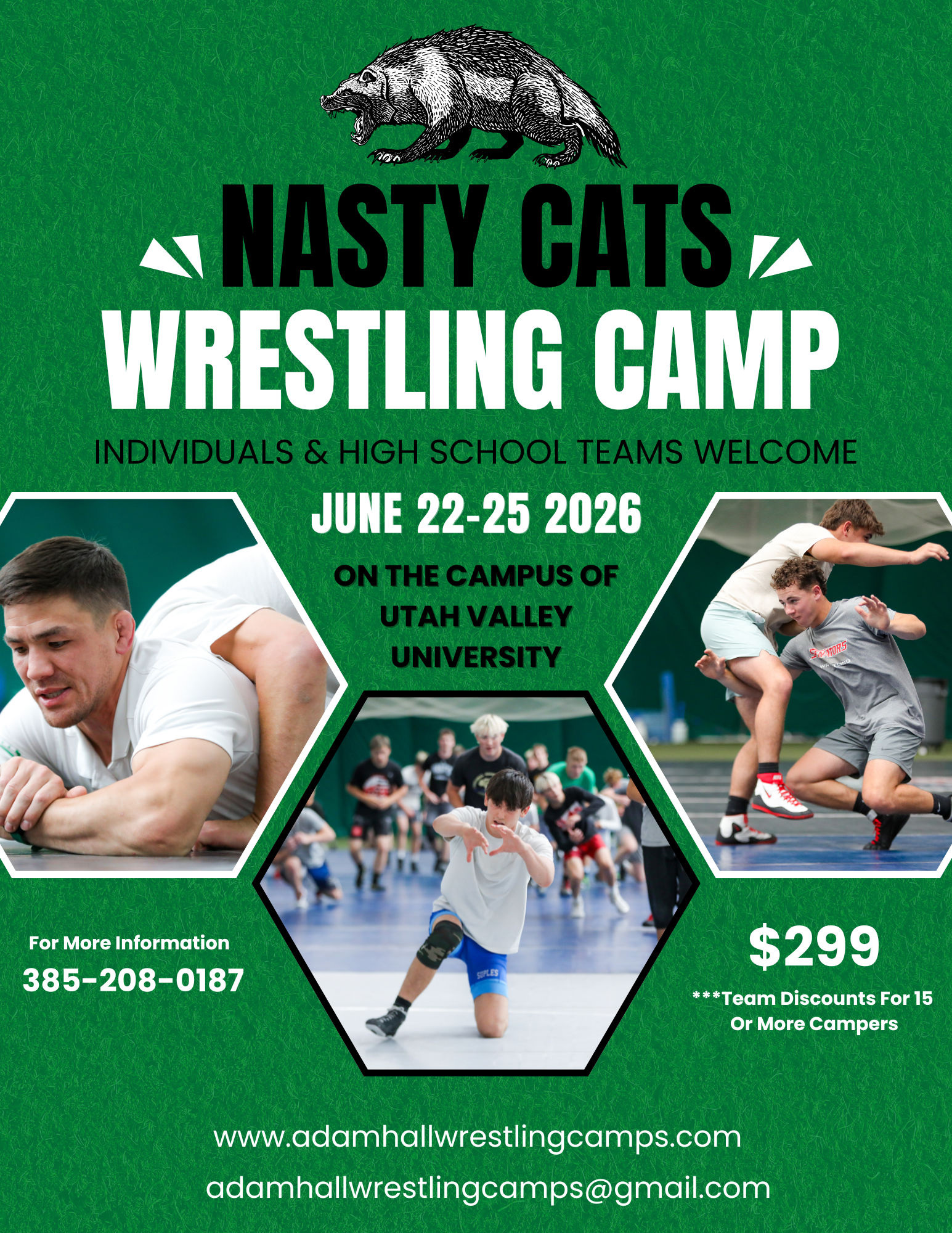 Nasty Cats Team & Individual Camp