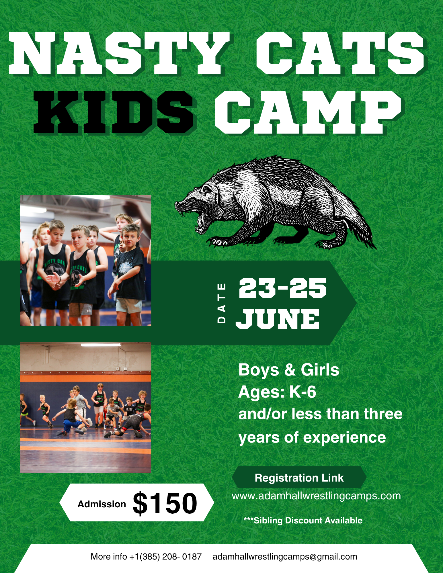 Nasty Cats Kids Wrestling Camp