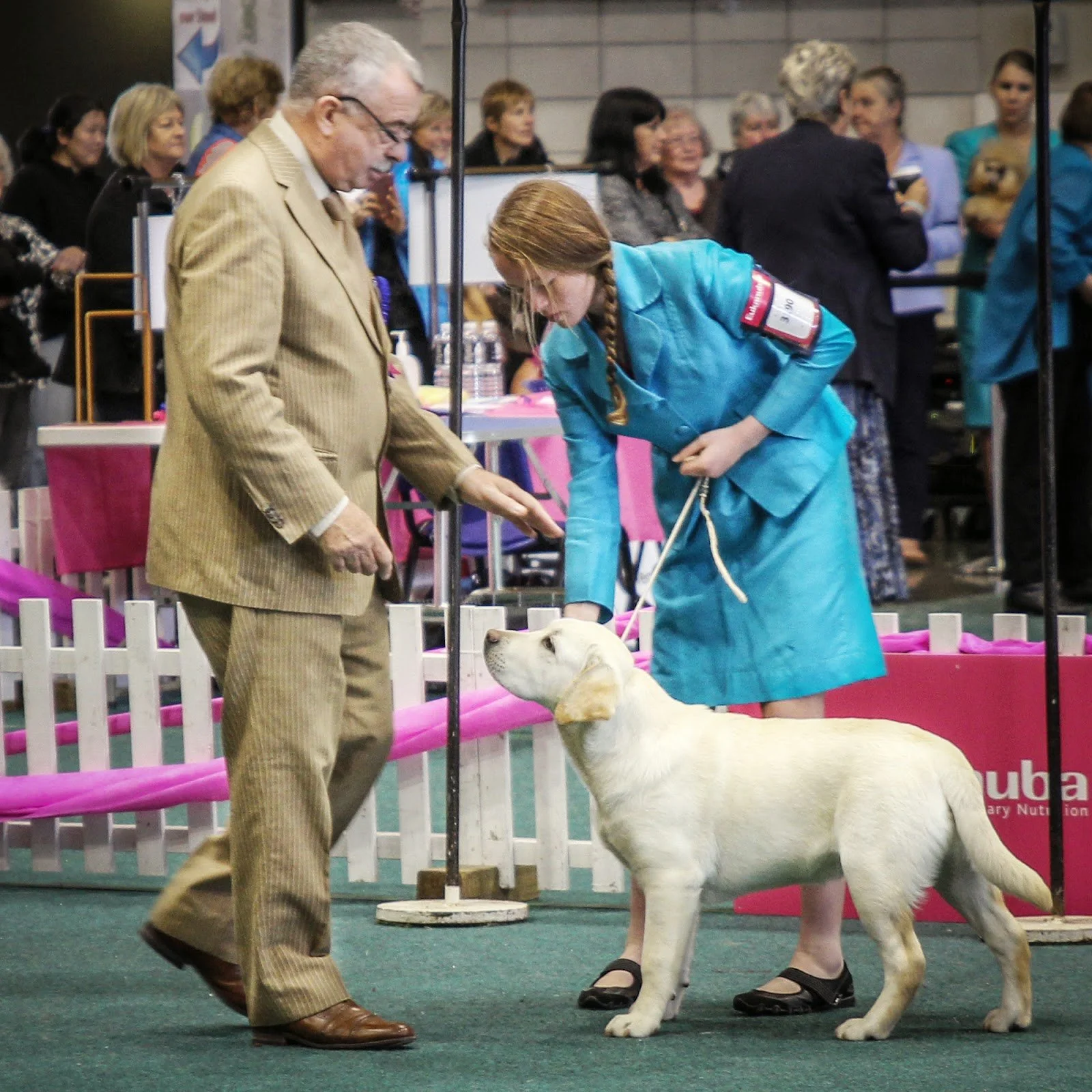 dog show 4.jpg