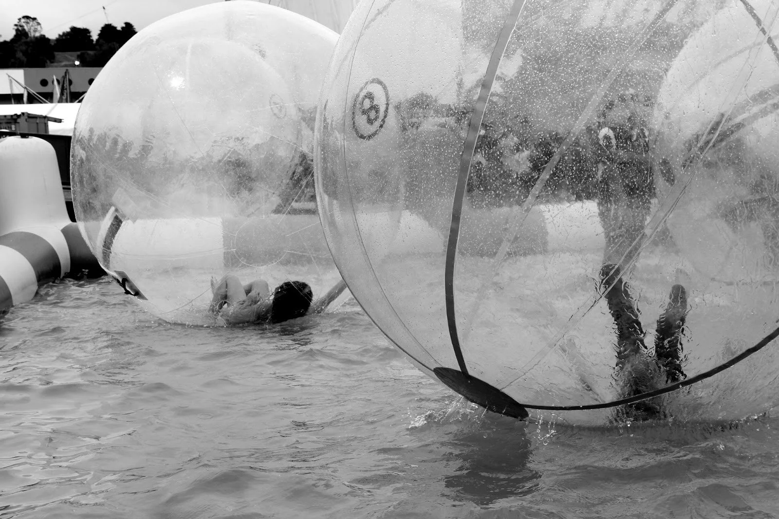 easter show 10.jpg