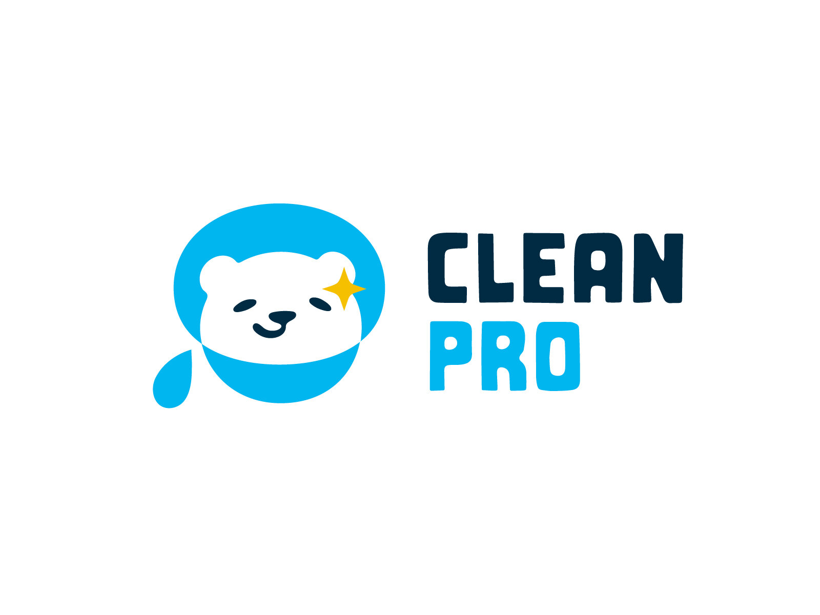 clean-pro-1.jpg