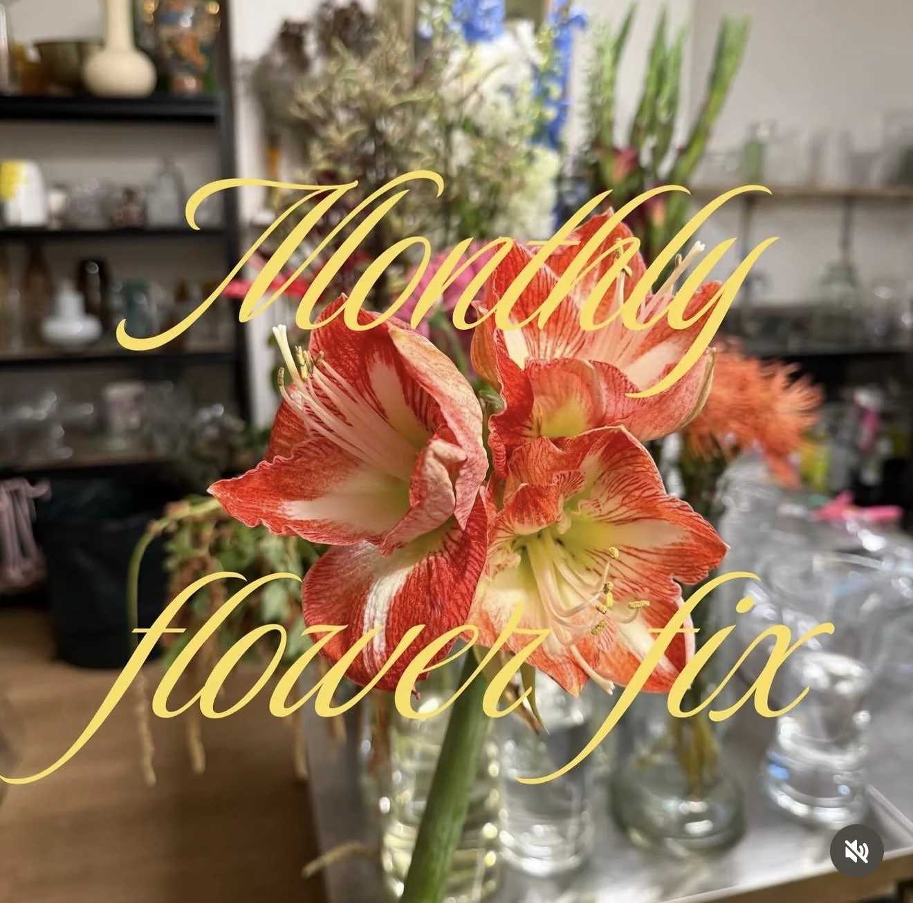 MONTHLY FLOWER FIX