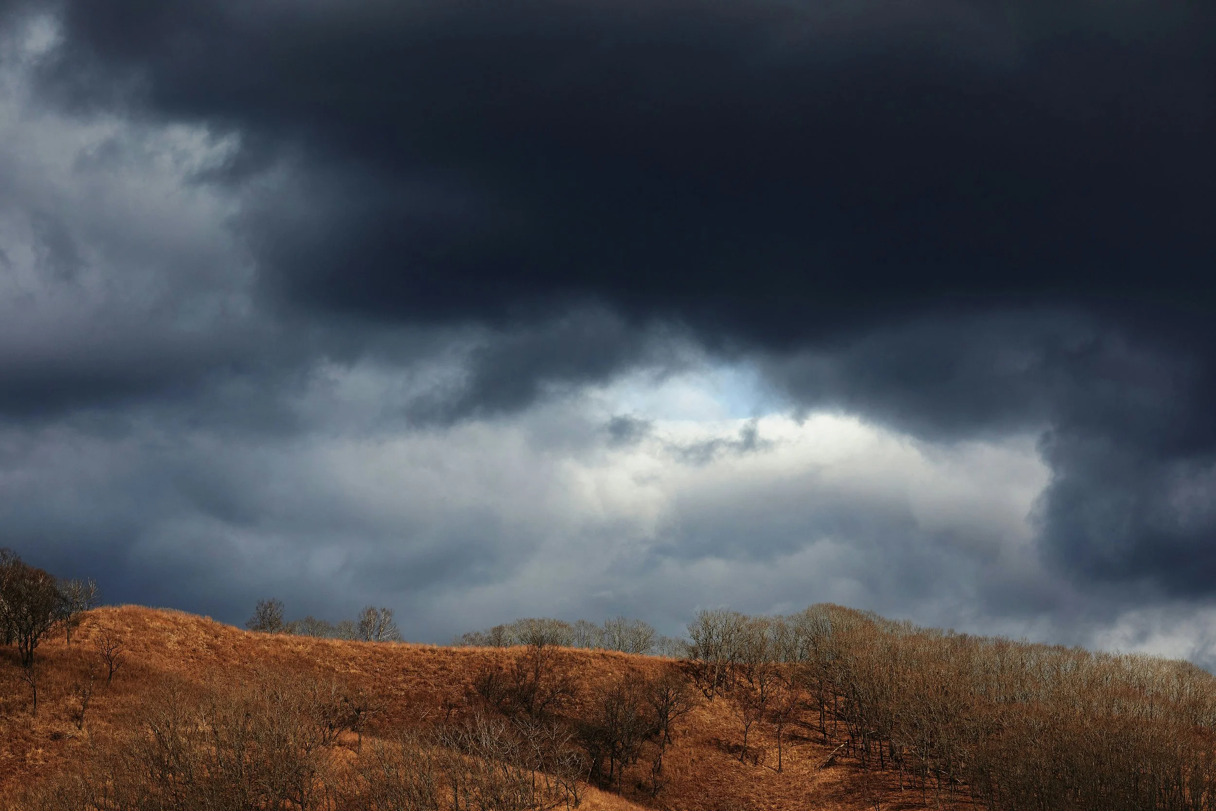 The New Eternal Order