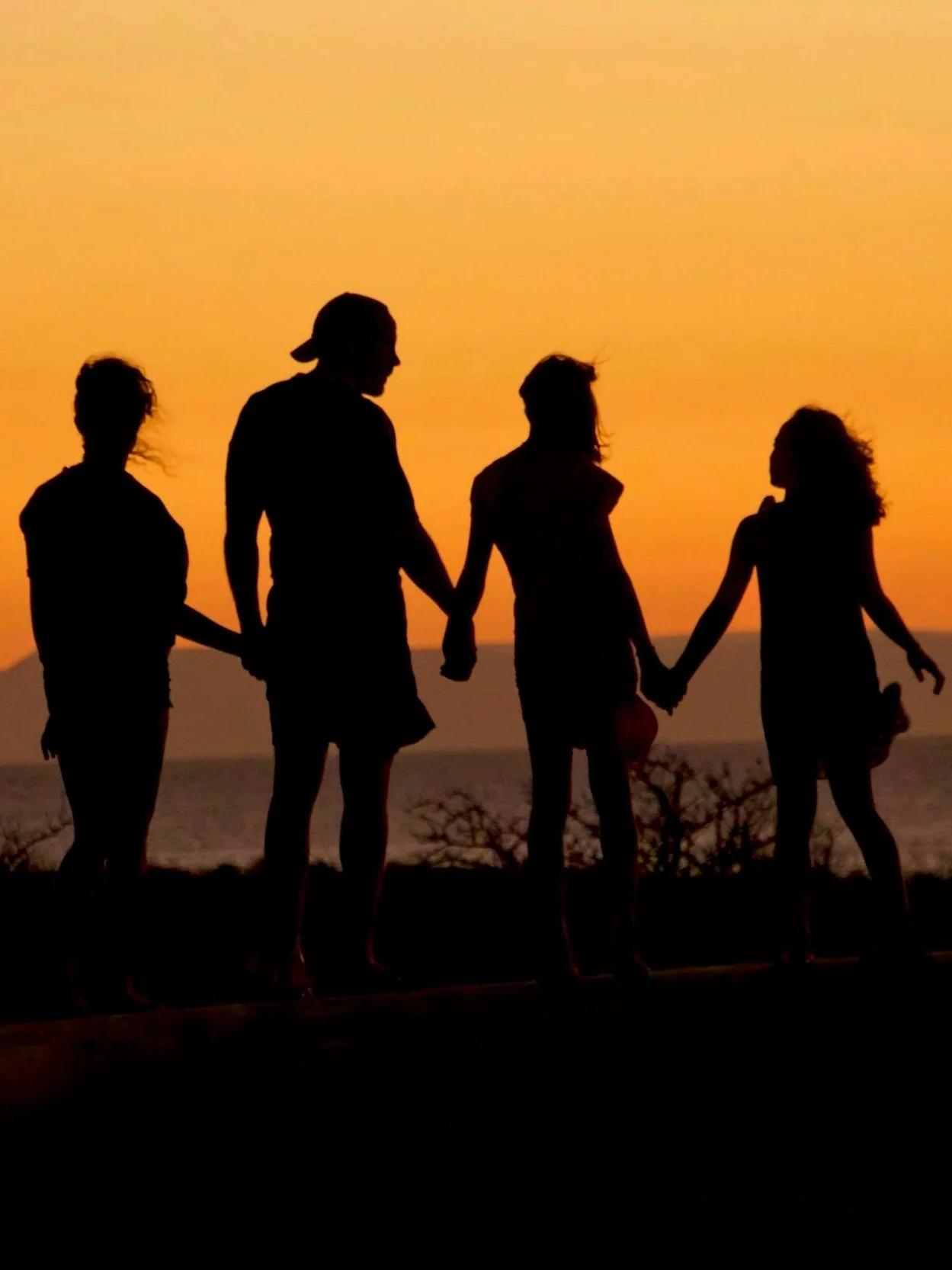 Silhouettes of five people holding hands at sunset by the beach.