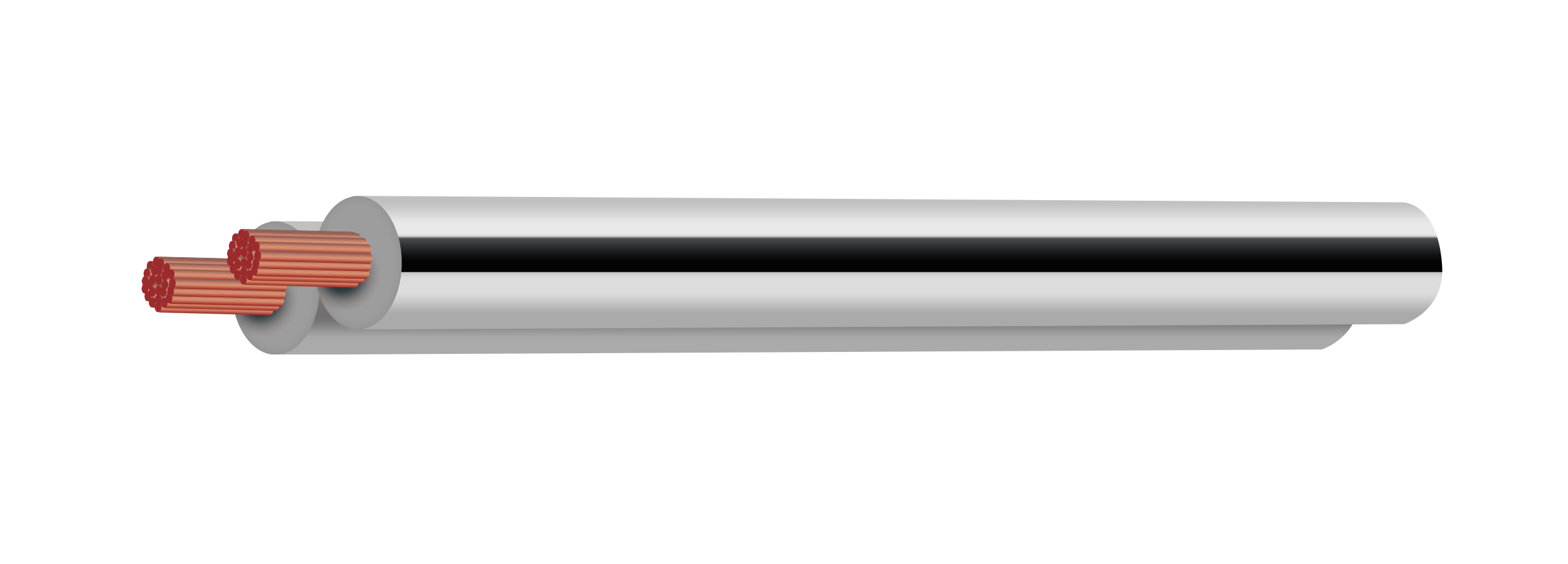 FIGURE 8 (PARALLEL WEBBED)