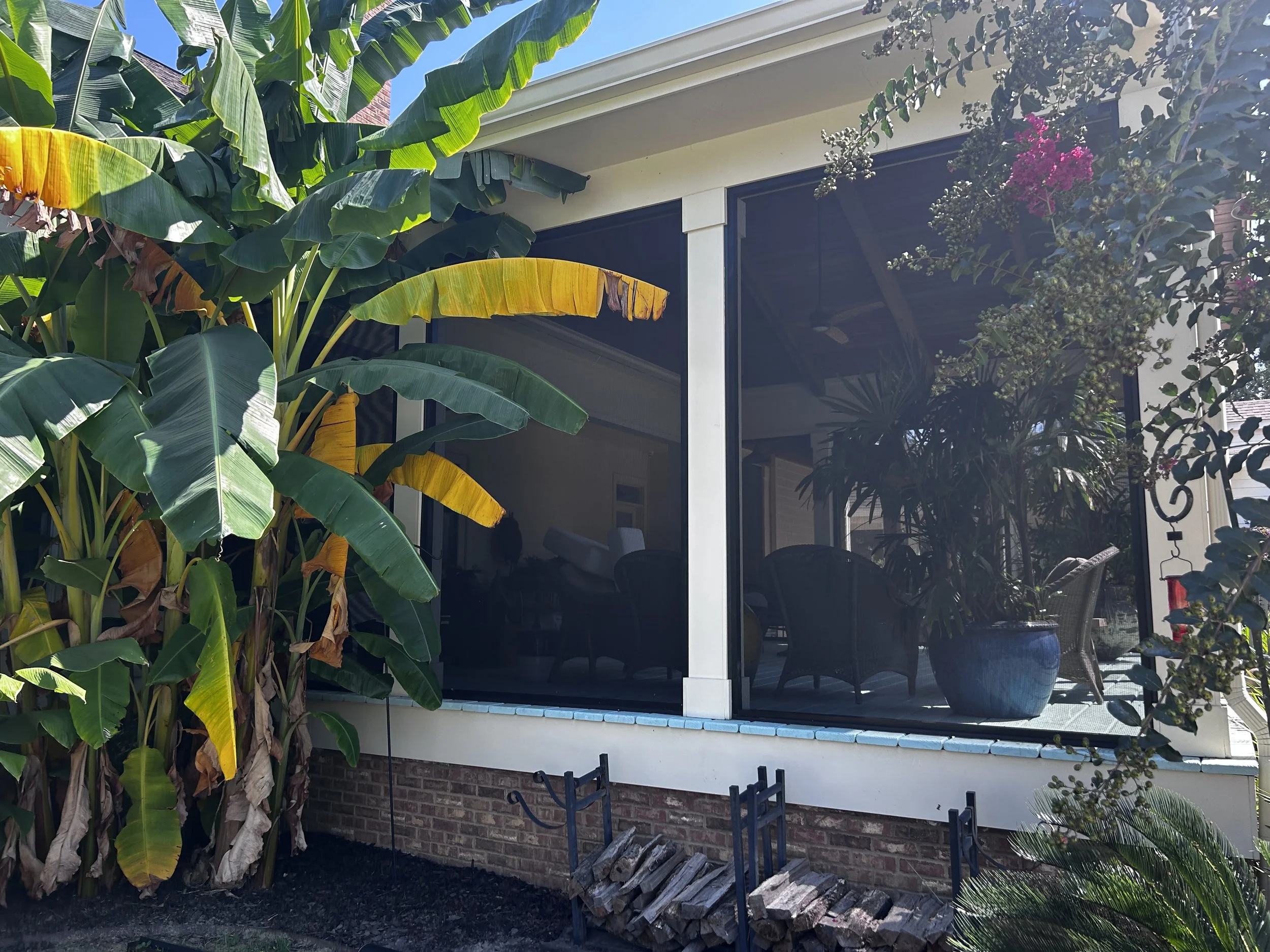 A house with a screened porch, surrounded by lush green plants and flowers, including banana plants and flowering shrubs. The porch has outdoor furniture and potted plants visible through the screens.