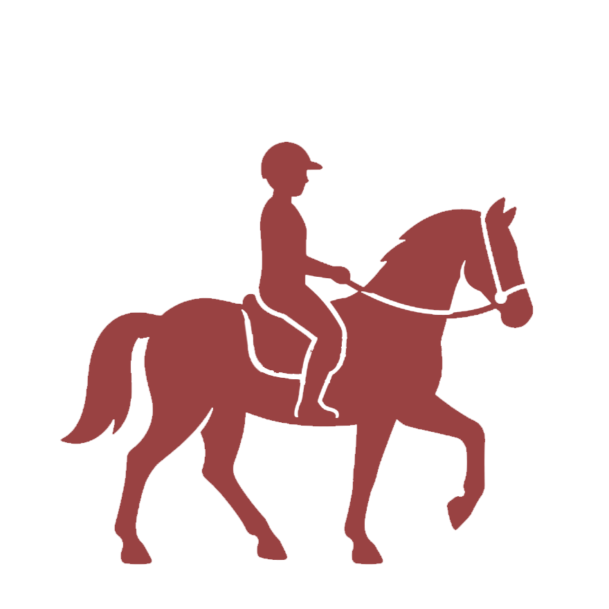 Silhouette of a person riding a horse.