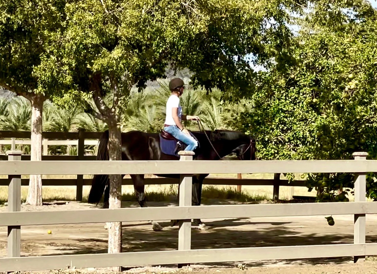 Relaxing after lesson 