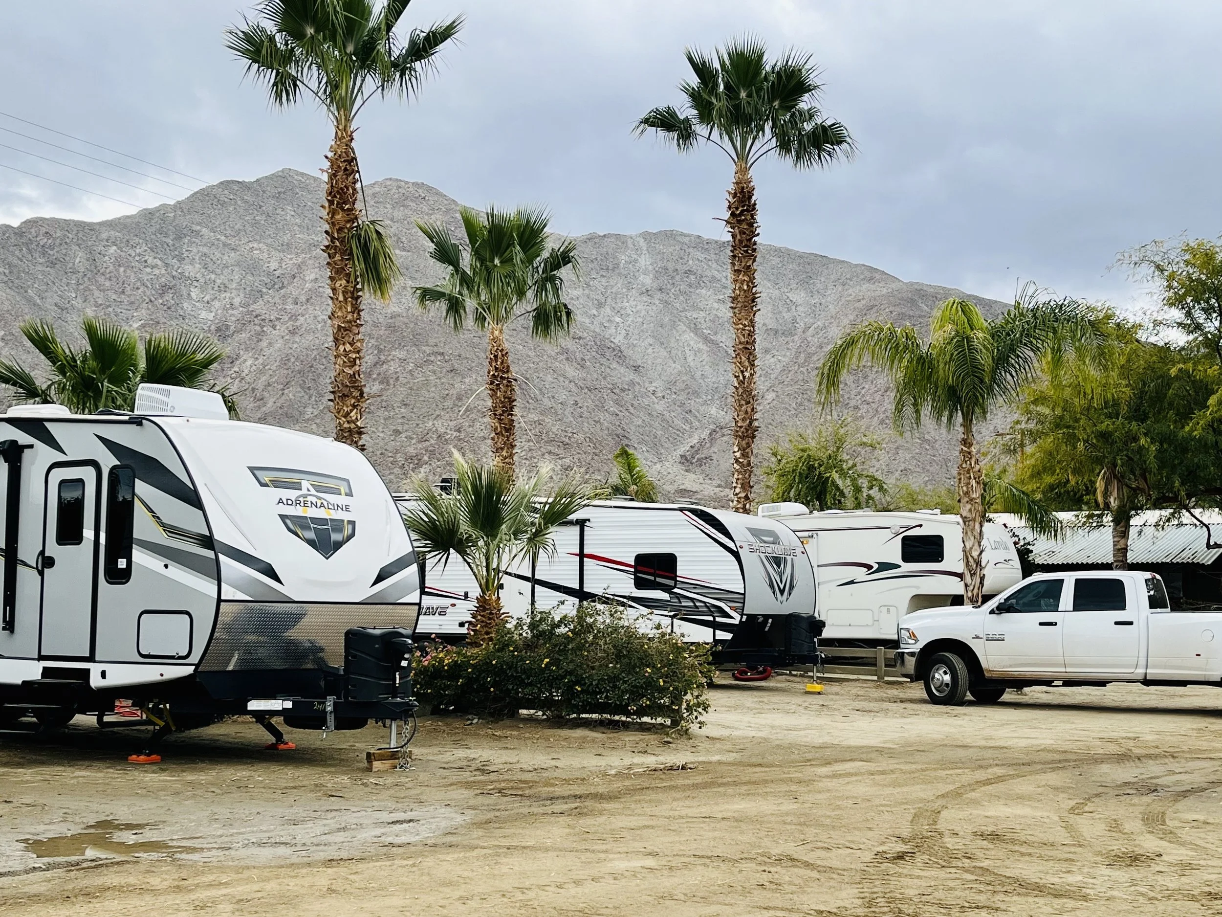 A campground with several white travel trailers and trucks parked on a dirt lot, surrounded by tall palm trees and mountains in the background.