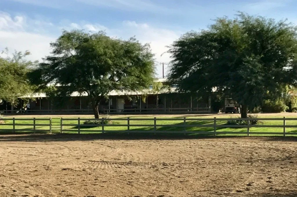 A fenced riding arena with a dirt surface, bordered by green grass, with two large trees and a building in the background.