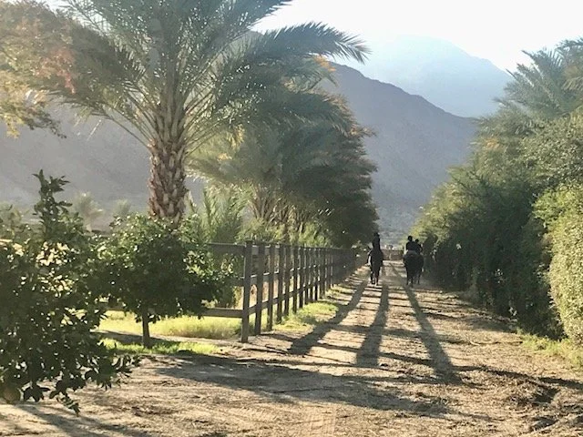 Bridle Path