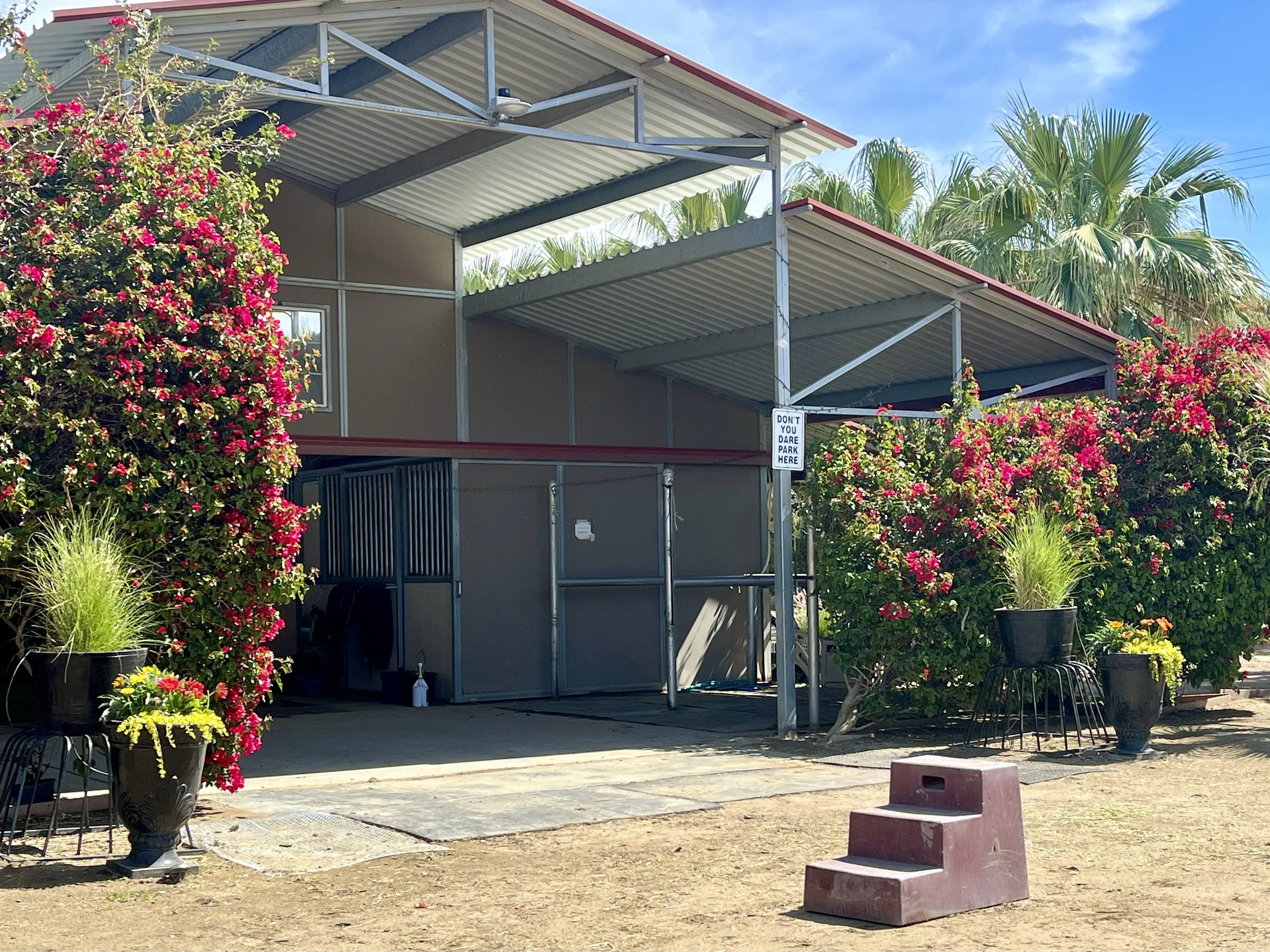 Small building with a metal roof and a sign that says 'Don't you dare park here'. Surrounding the building are large flowering bushes with pink flowers and potted plants with green foliage. There are small steps in the foreground leading up to the entrance, and palm trees are visible in the background.